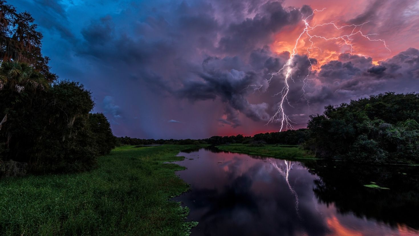 Электрическая природа. Вивальди лето гроза. Летняя гроза. Природа с грозой. Гроза в лесу.