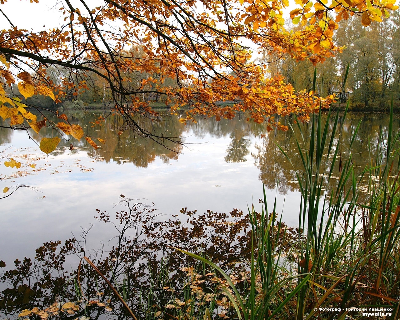 Скачать картинку Пейзаж, Вода, Растения, Осень в телефон бесплатно.