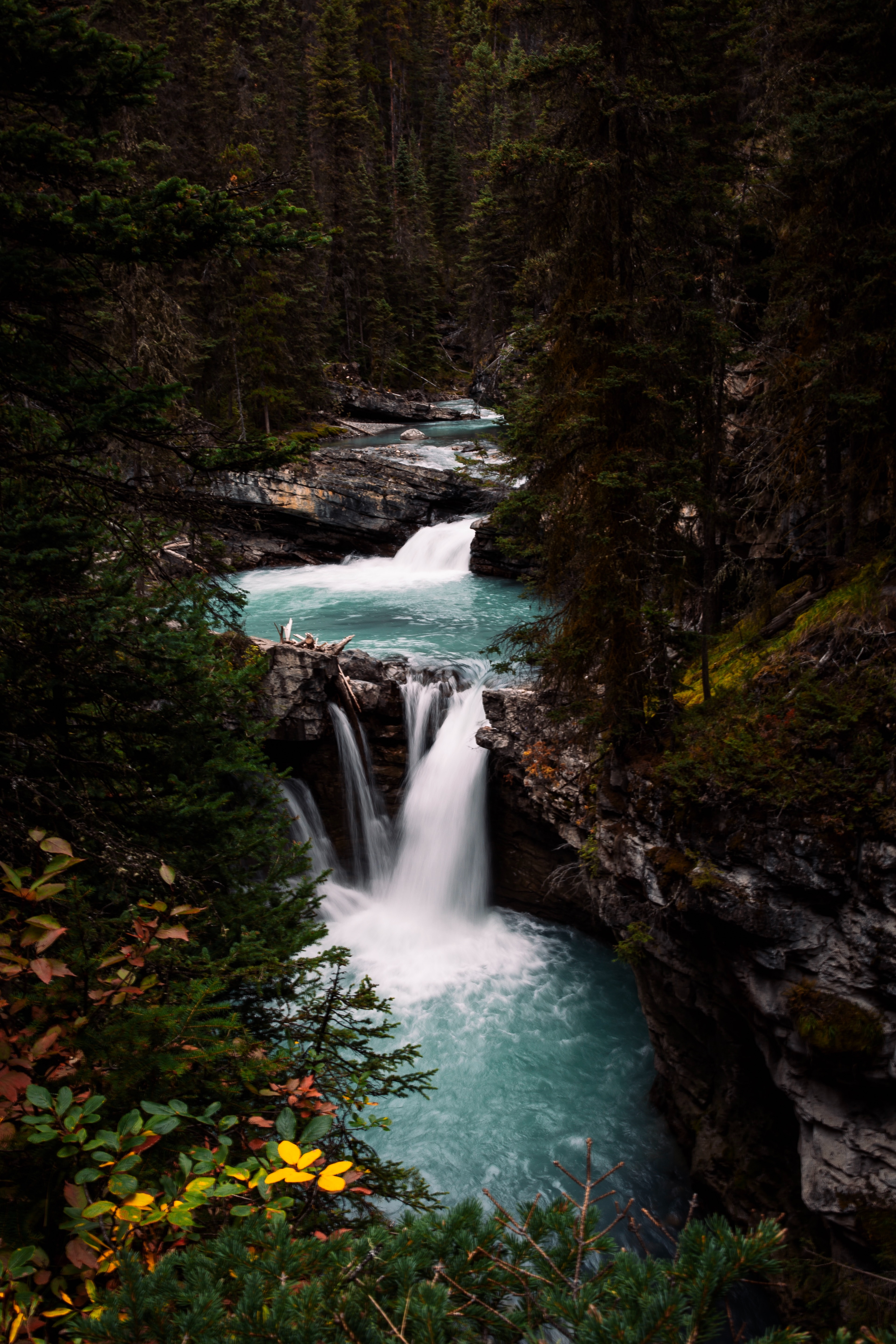 rivers, waterfall, landscape, nature, forest