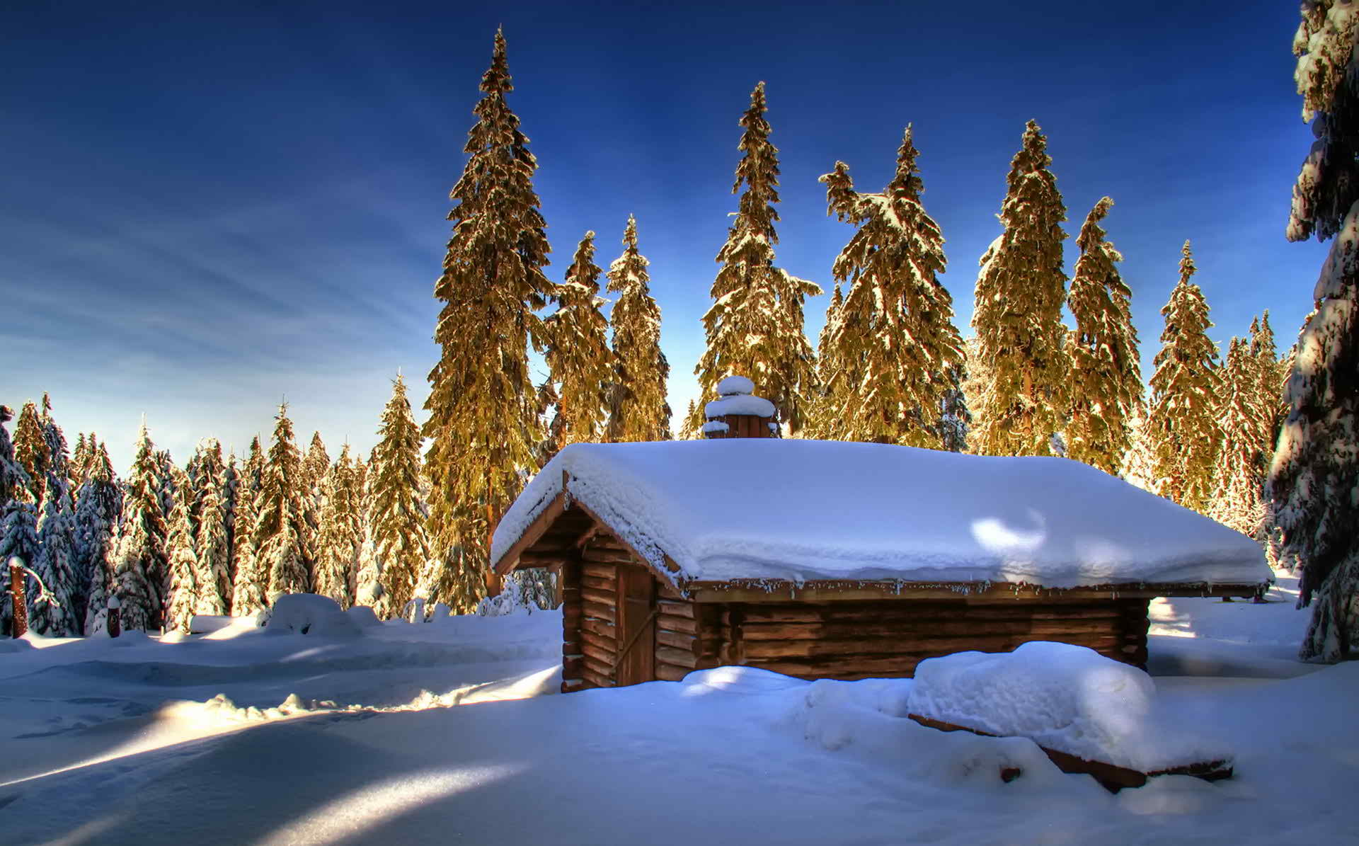 Дом в лесу снег