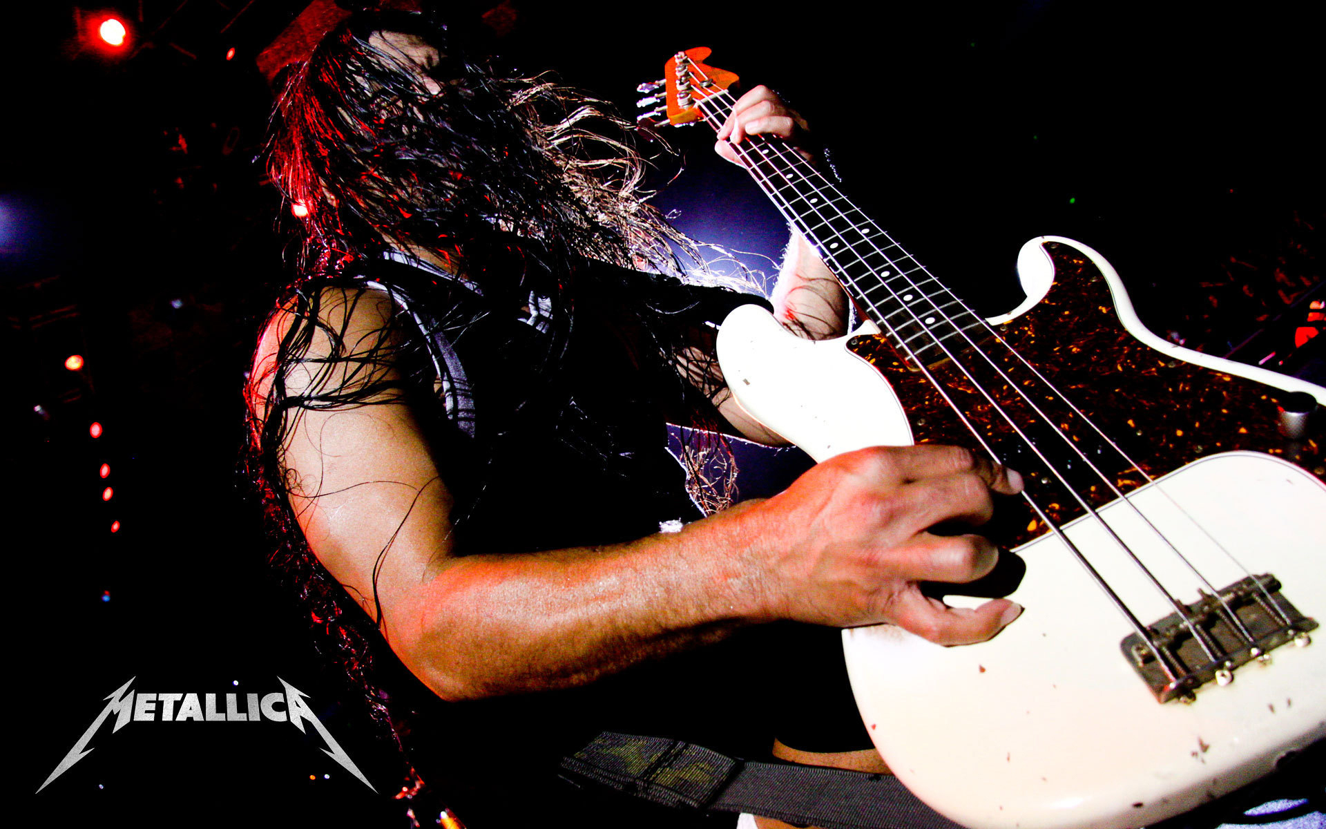 Robert Trujillo Bass Guitar