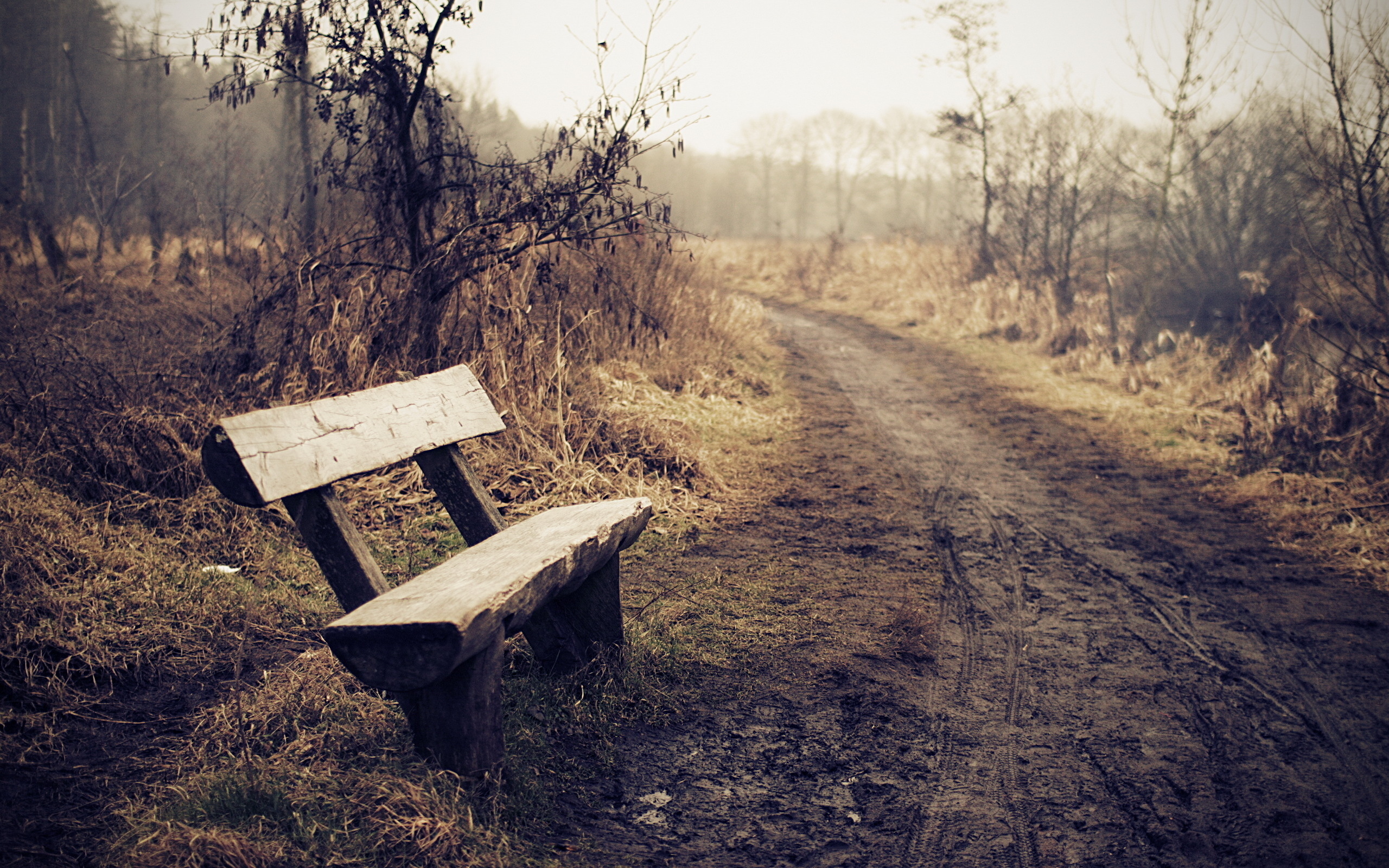 Free Images  Bench