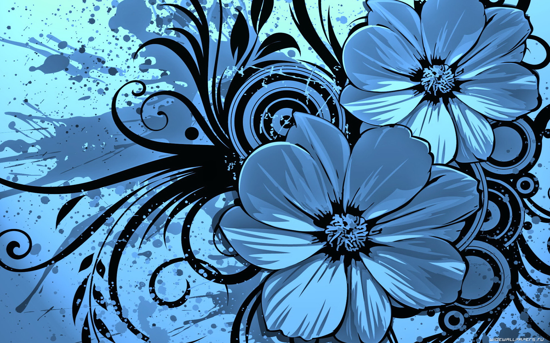 vertical wallpaper pictures, flowers, background, blue