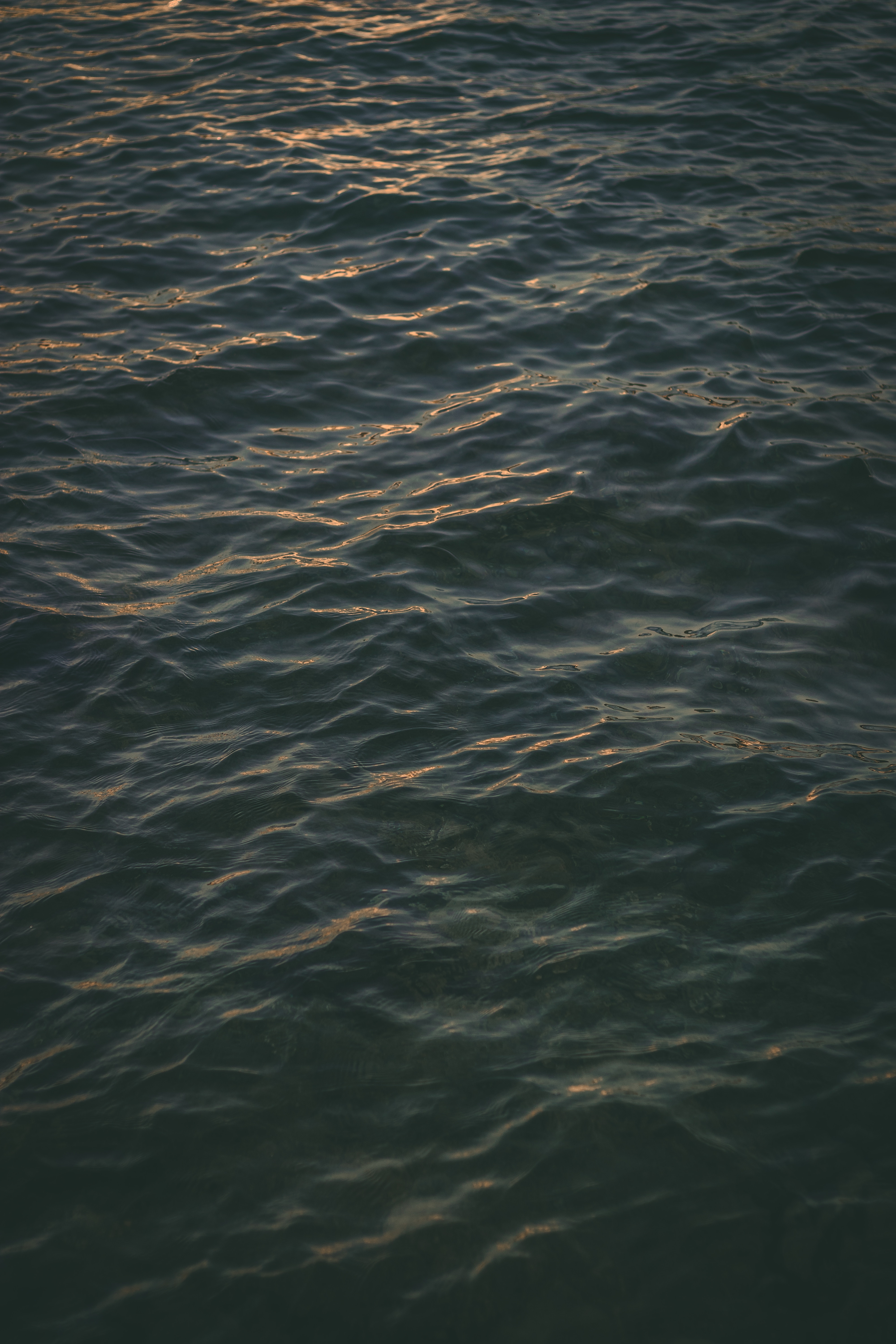dark, nature, sea, ripples, ripple, surface Full HD