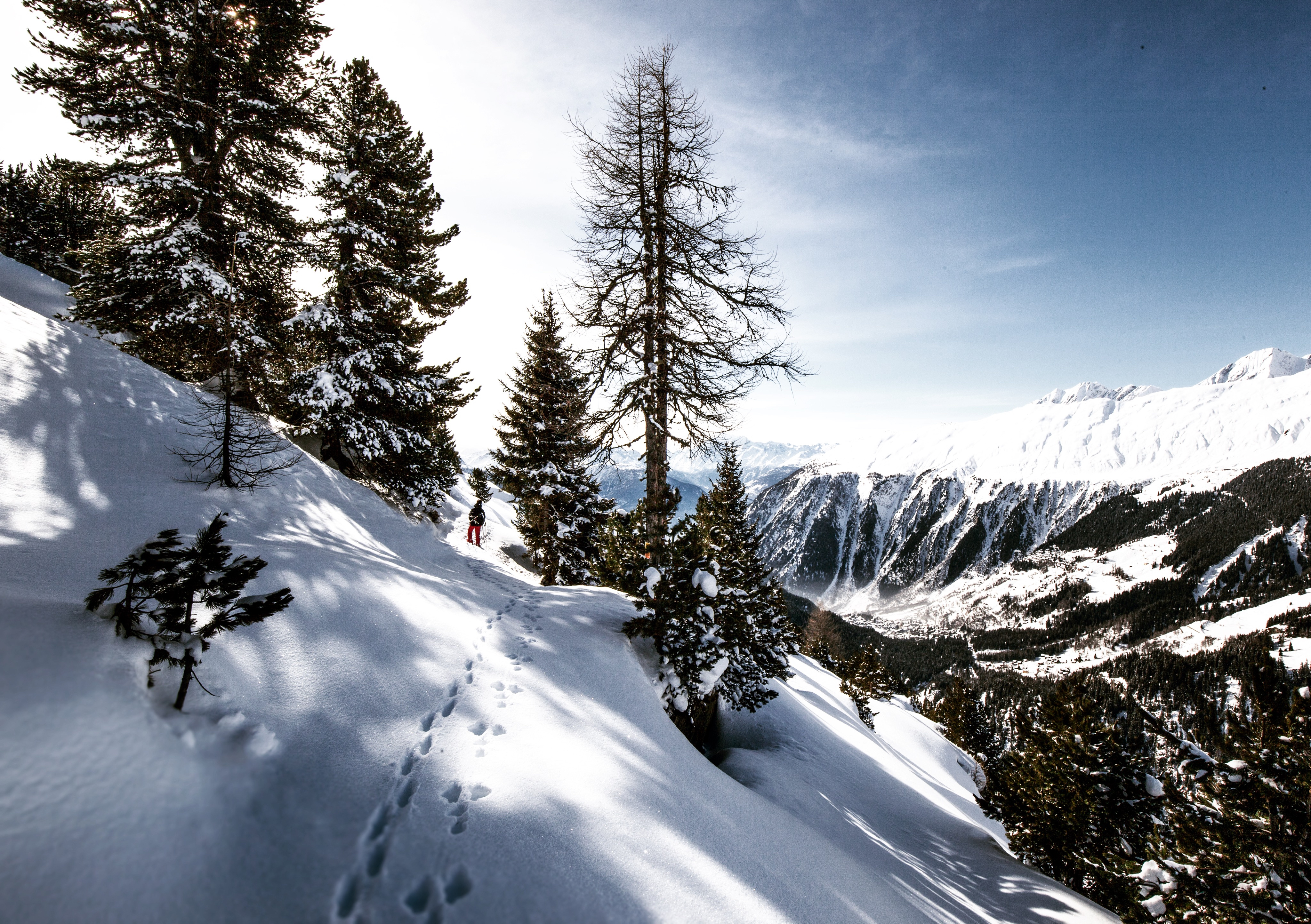 nature, mountains, snow, traces, skier