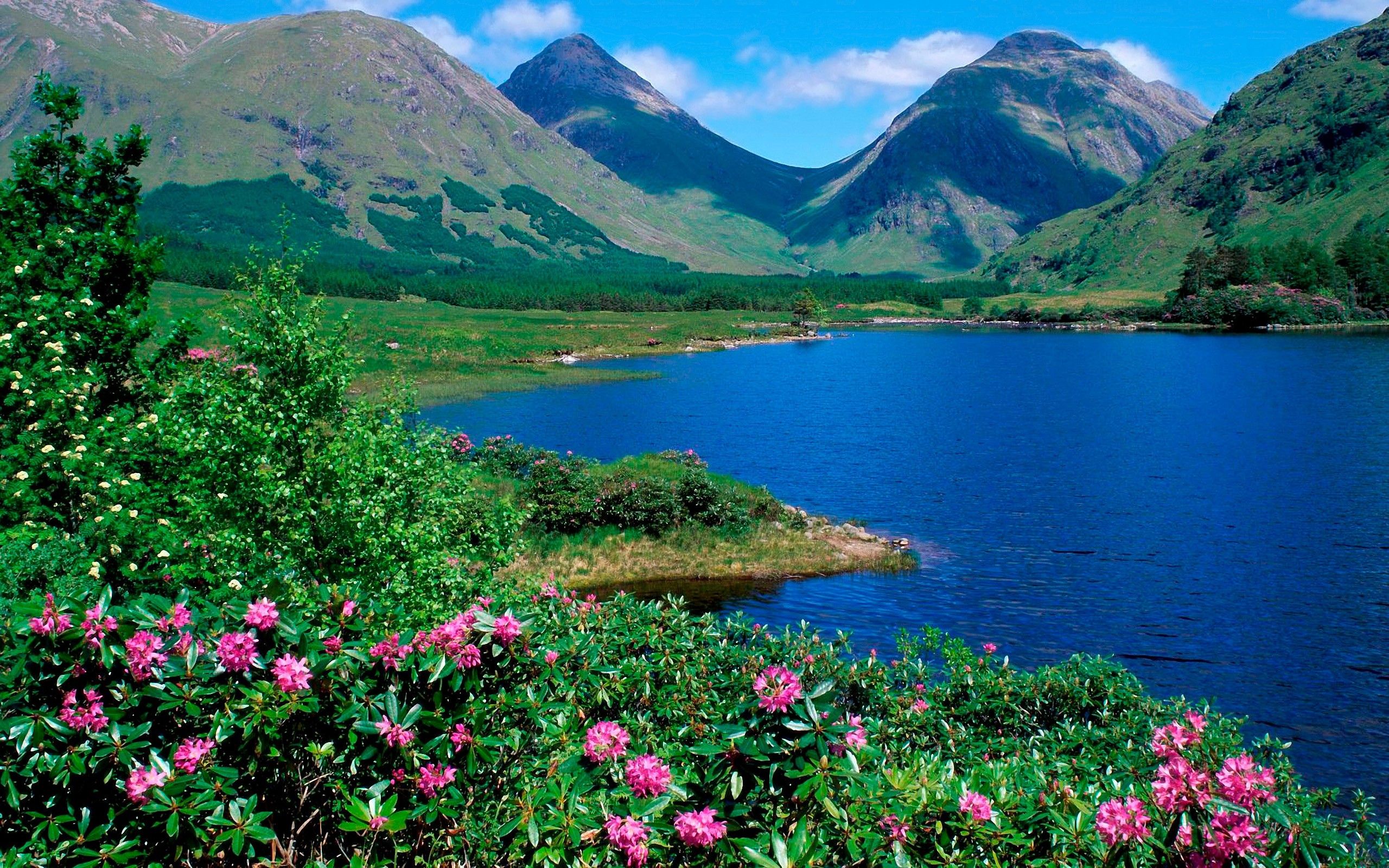 lake, nature, summer, greens, mountains, flowers, grass, slopes phone wallpaper
