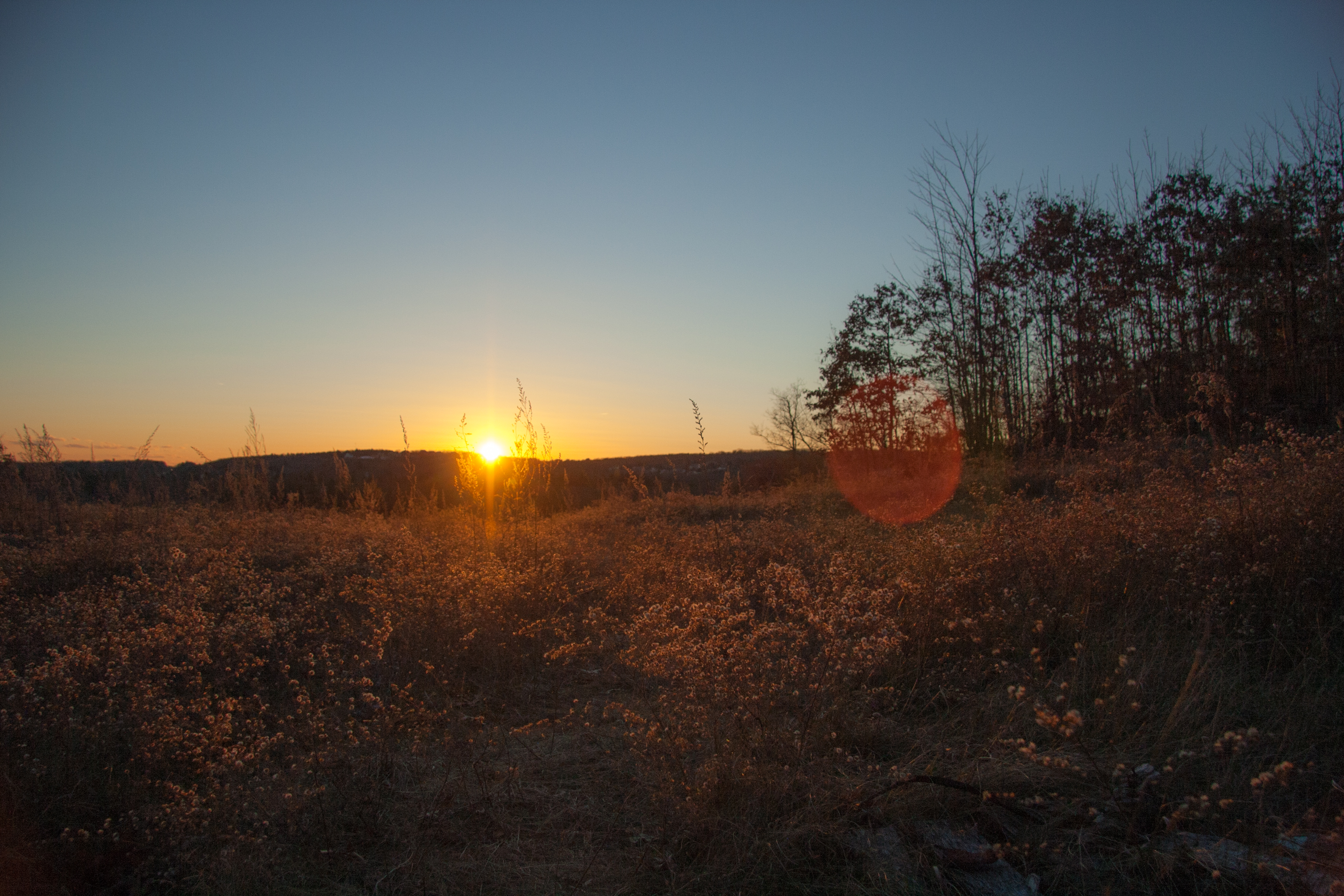 android earth, sunset, east coast, fall, grass, new england, nothern