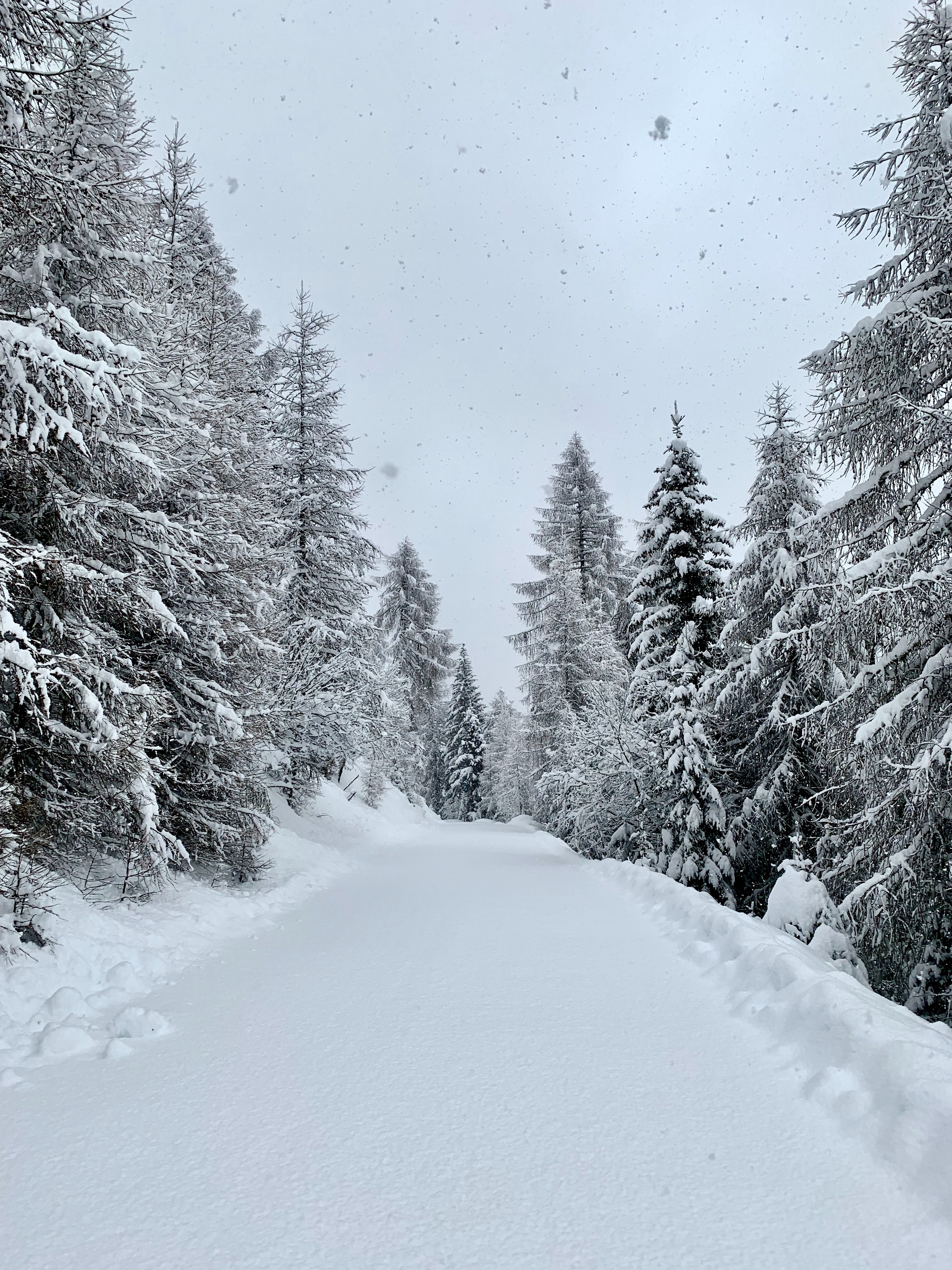 Download mobile wallpaper Snow, Forest, Road, Winter, Snowfall, Nature for free.