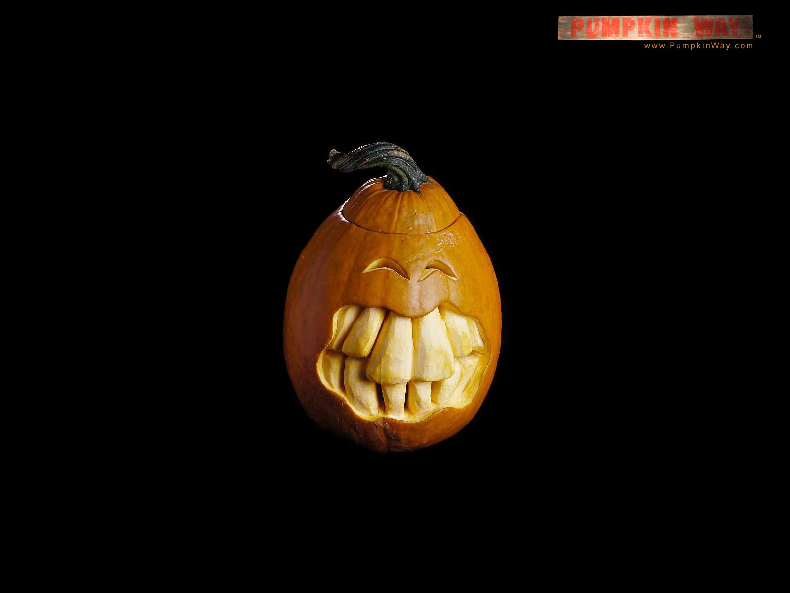 Download mobile wallpaper Halloween, Pumpkin, Holiday for free.