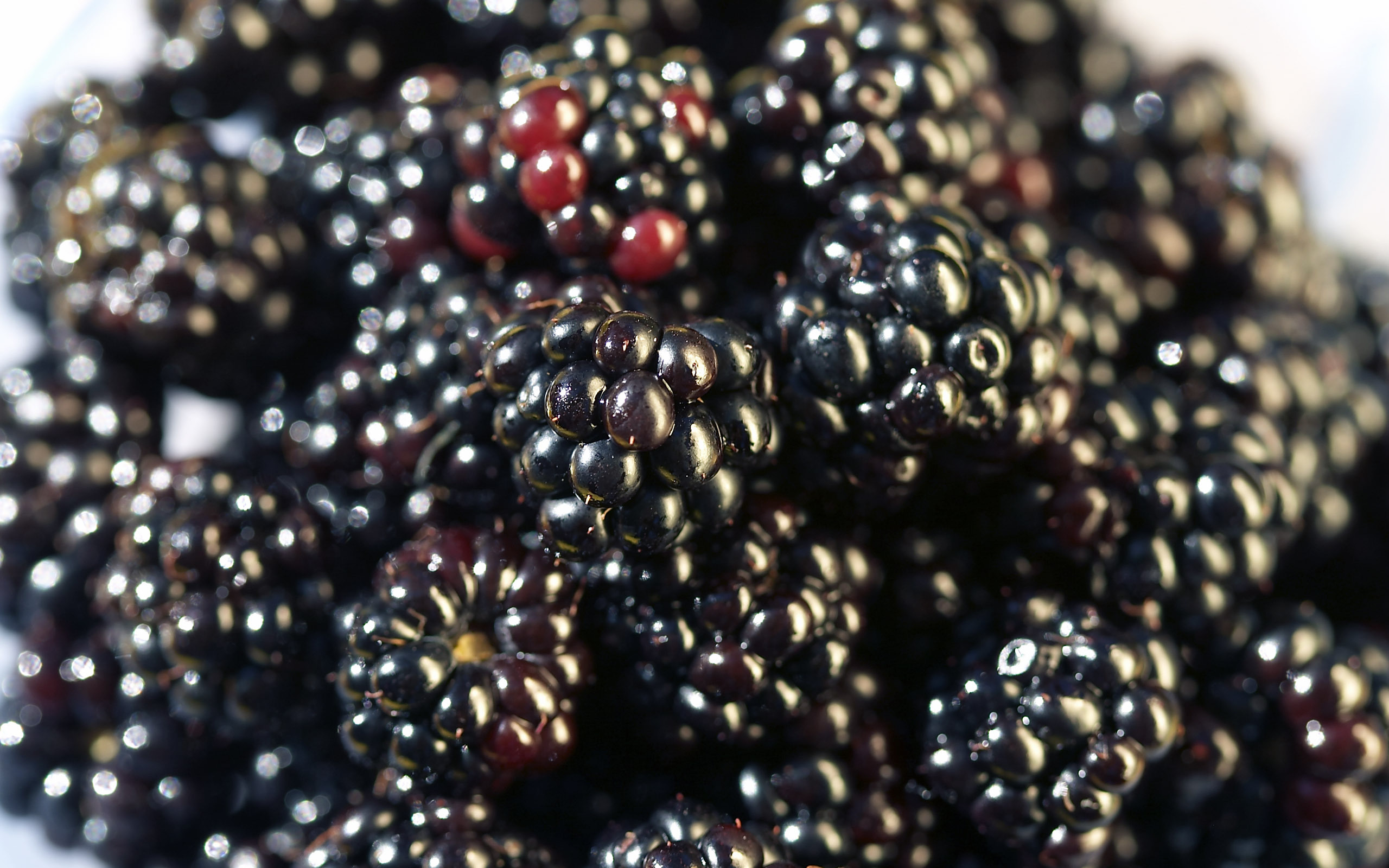 Handy-Wallpaper Obst, Lebensmittel, Berries, Blackberry, Hintergrund kostenlos herunterladen.