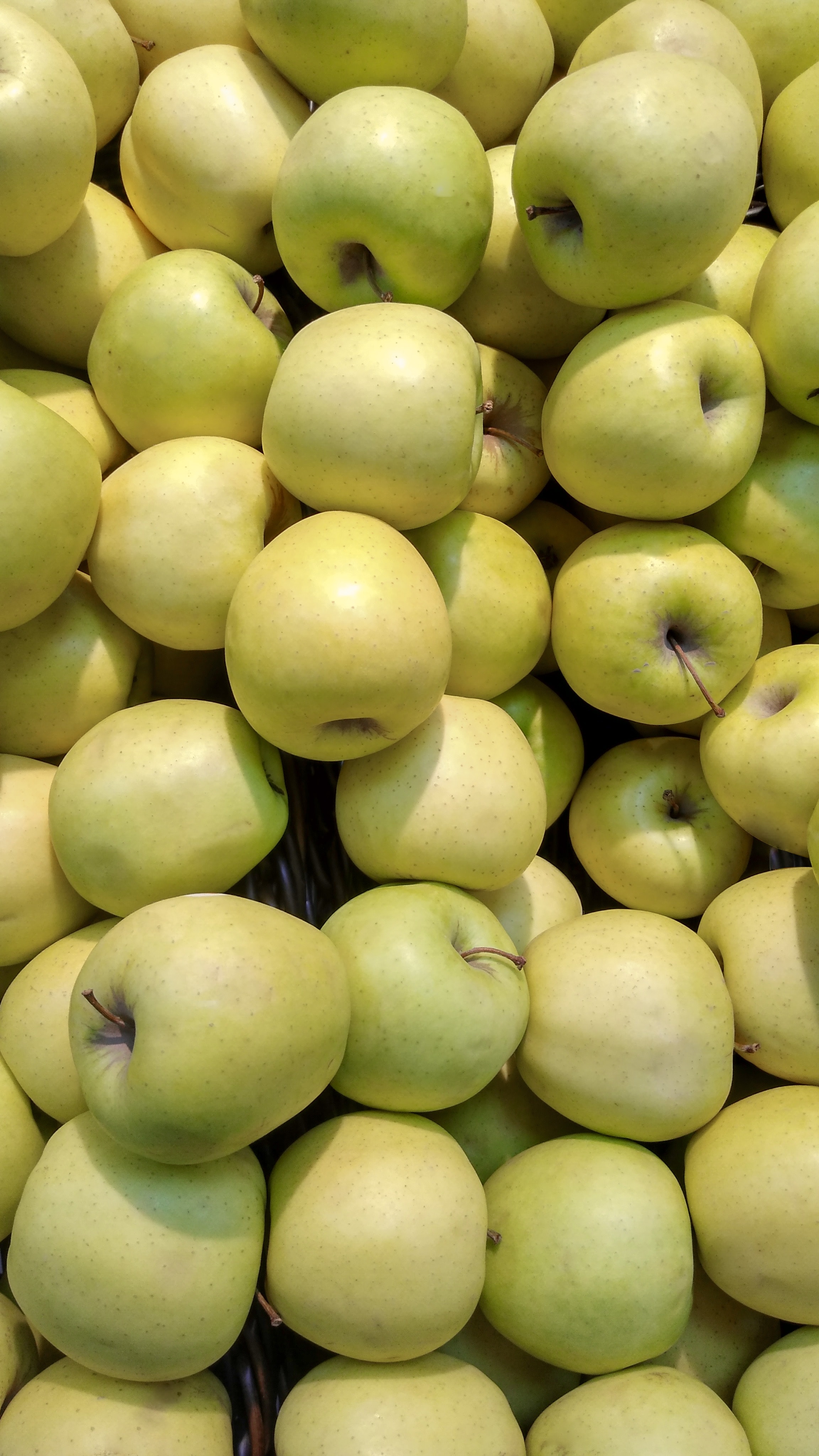 Handy-Wallpaper Äpfel, Die Ernte, Lebensmittel, Obst, Ernte kostenlos herunterladen.