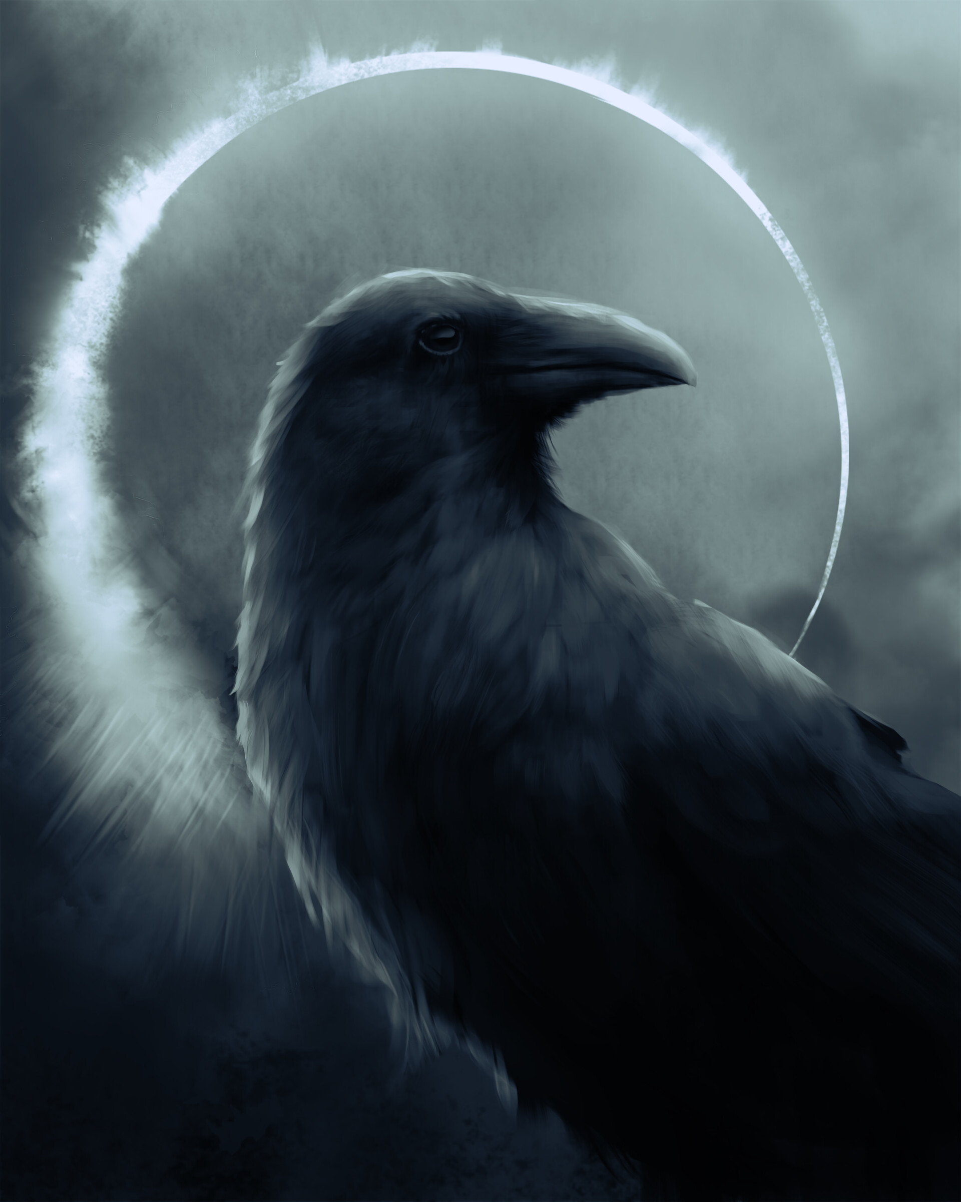 raven, art, dark, bird, circle download HD wallpaper