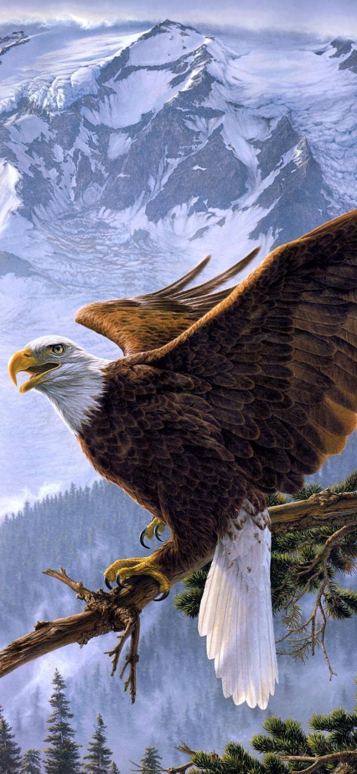1420049 baixar papel de parede águia careca, animais, artístico, águia, pássaro, águia de cabeça branca - protetores de tela e imagens gratuitamente