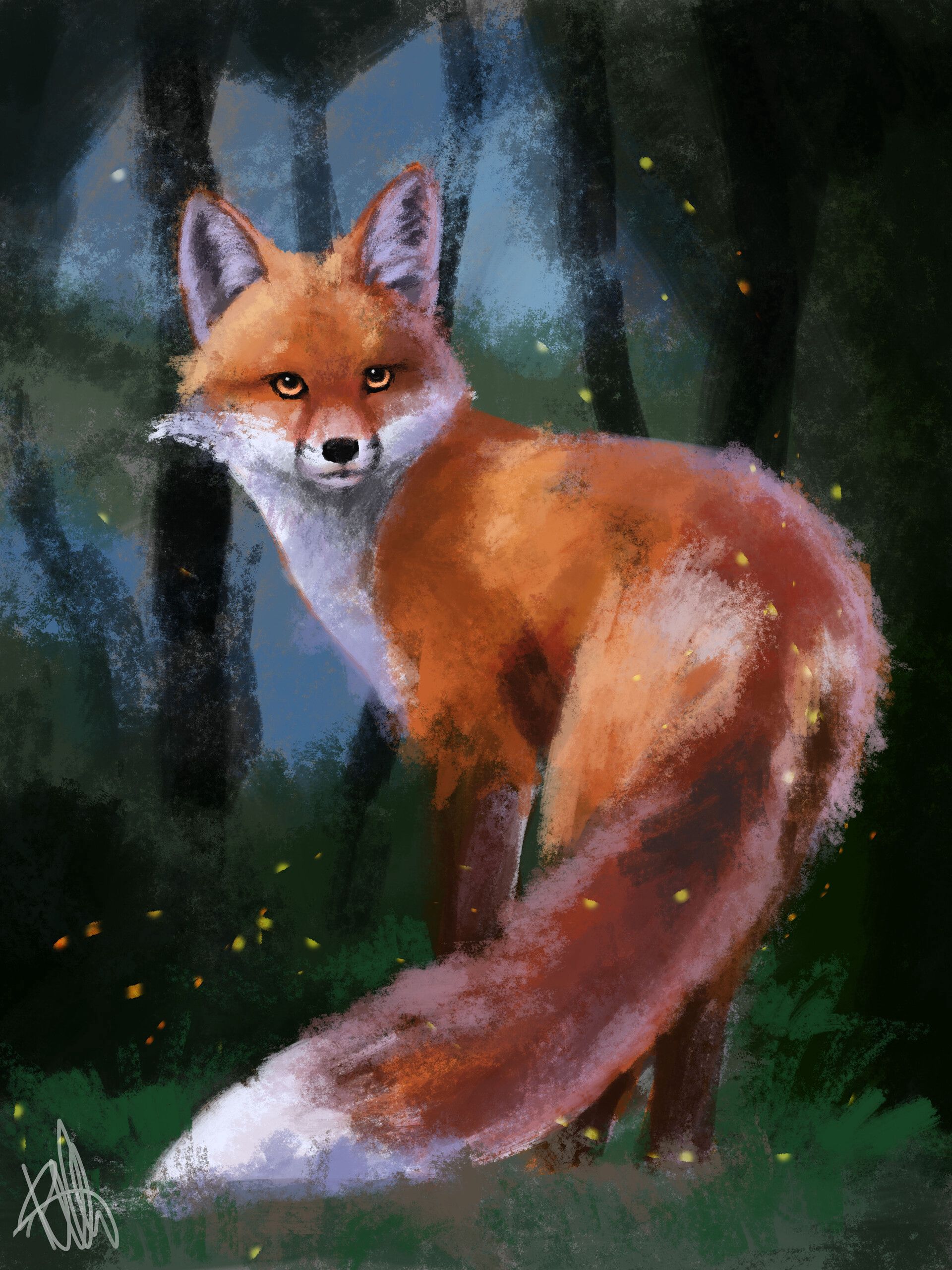 fox, art, forest, sight, opinion, animal