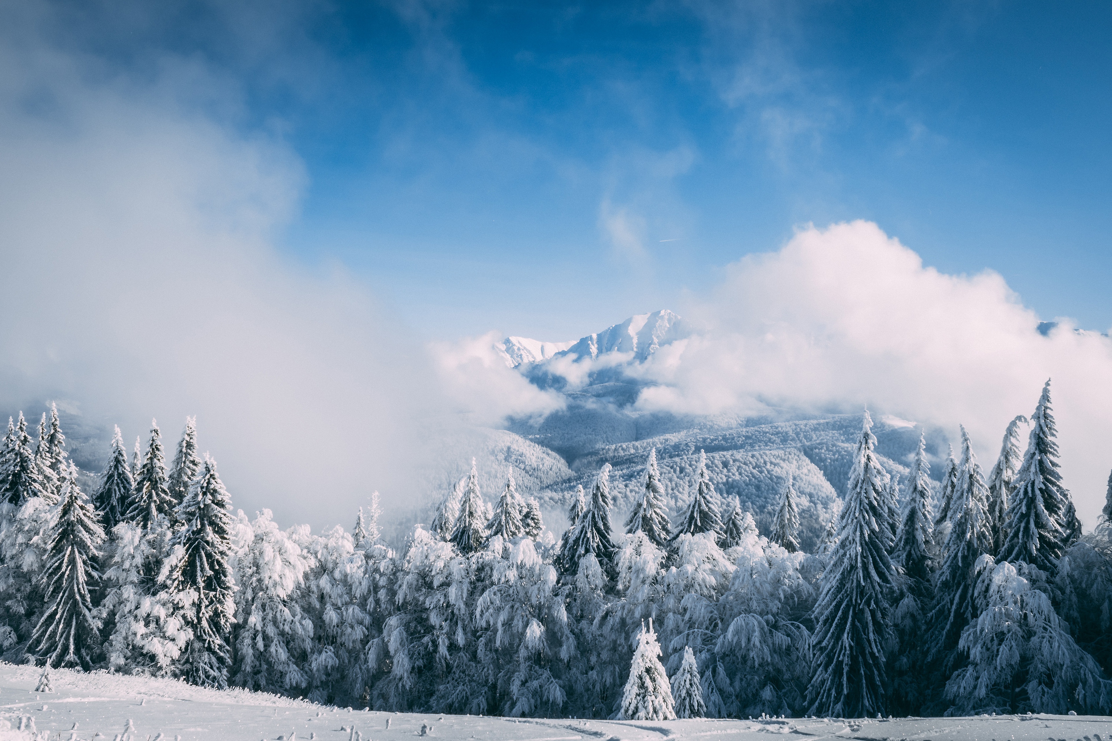 1005691 免費下載壁紙 自然, 冬季, 云, 枞树, 雾, 山, 天空, 雪 屏保和圖片