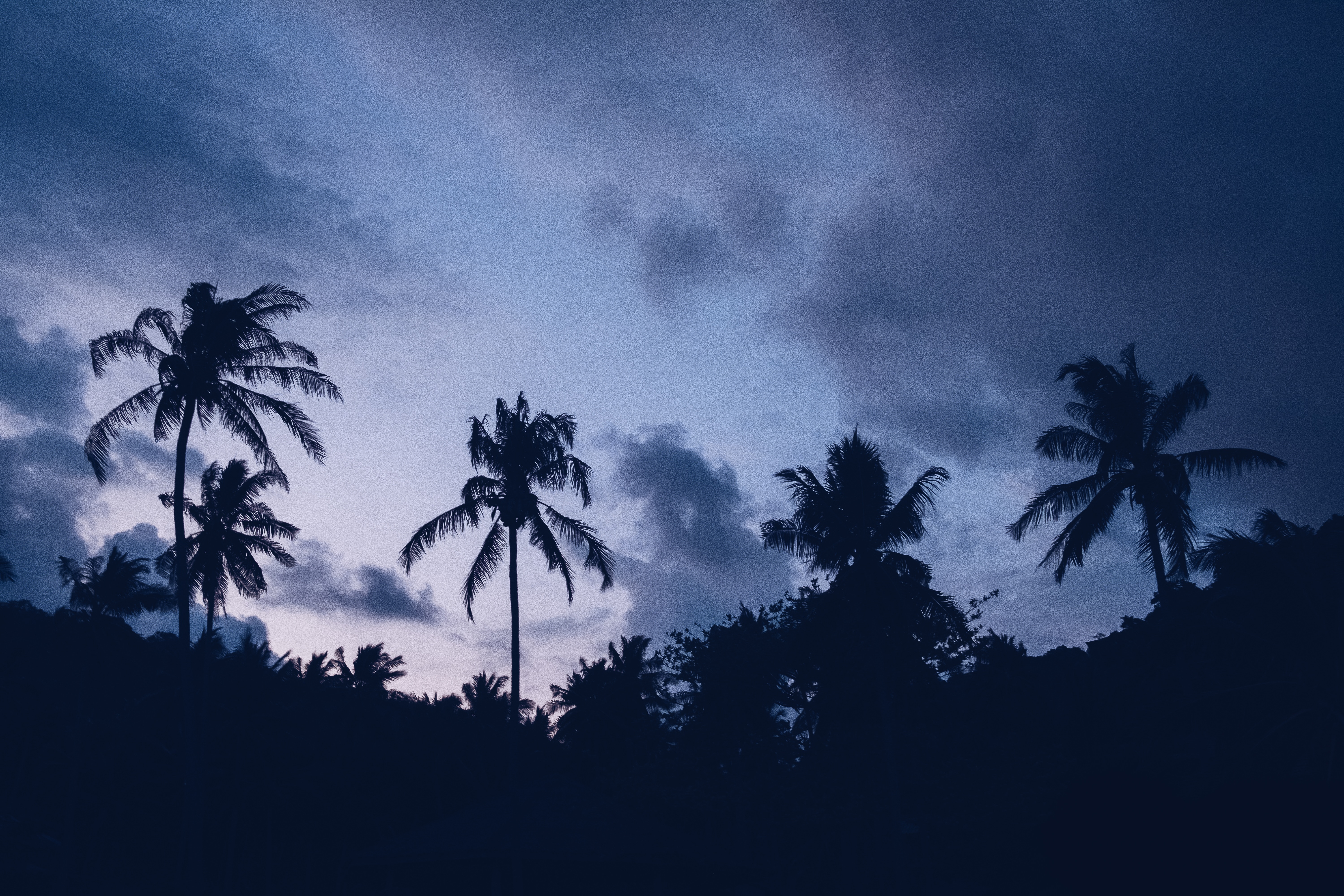 Download mobile wallpaper Clouds, Palms, Night, Dark for free.