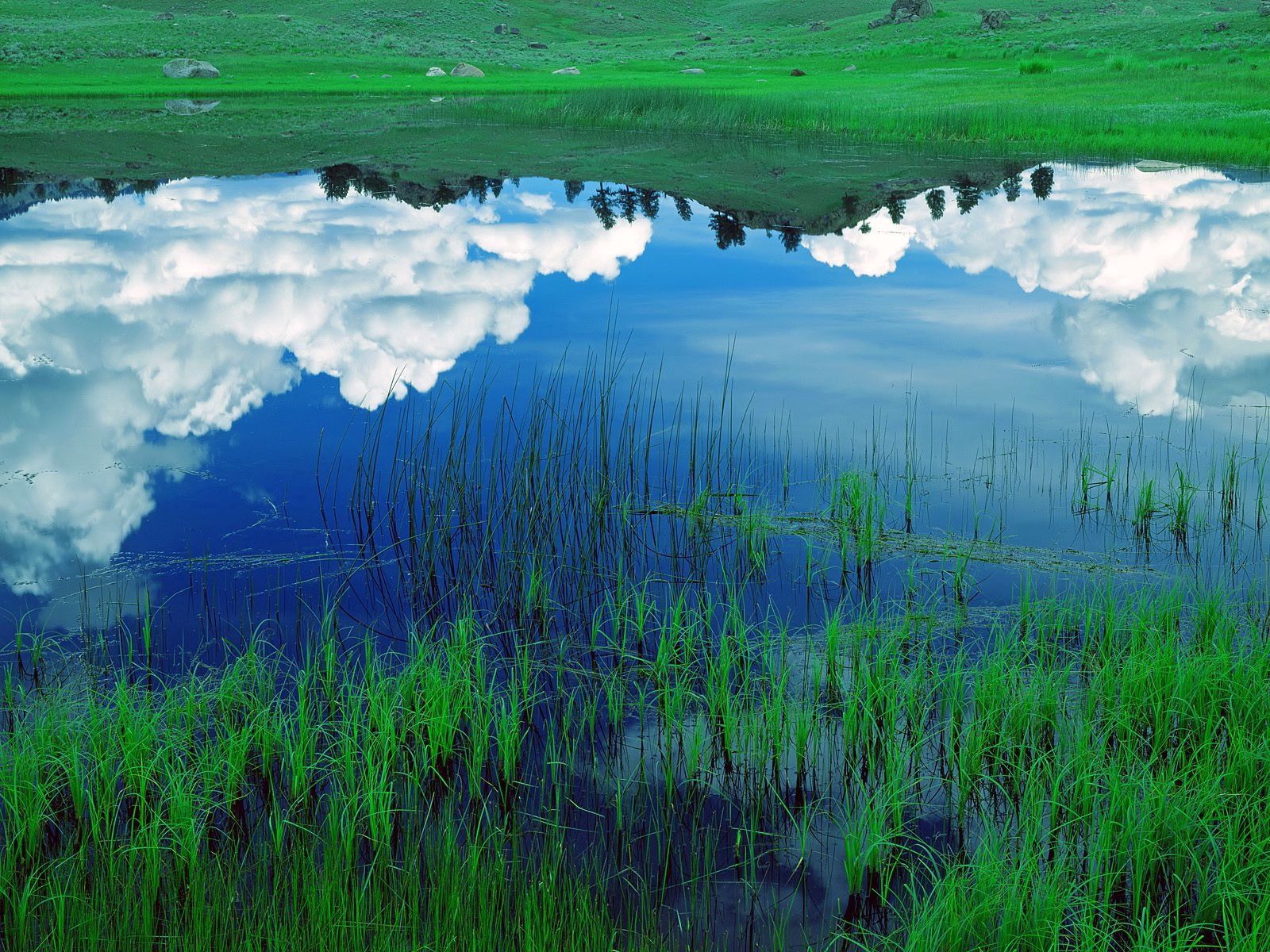 Free download wallpaper Nature, Grass, Sky, Clouds, Lake, Reflection, Field on your PC desktop