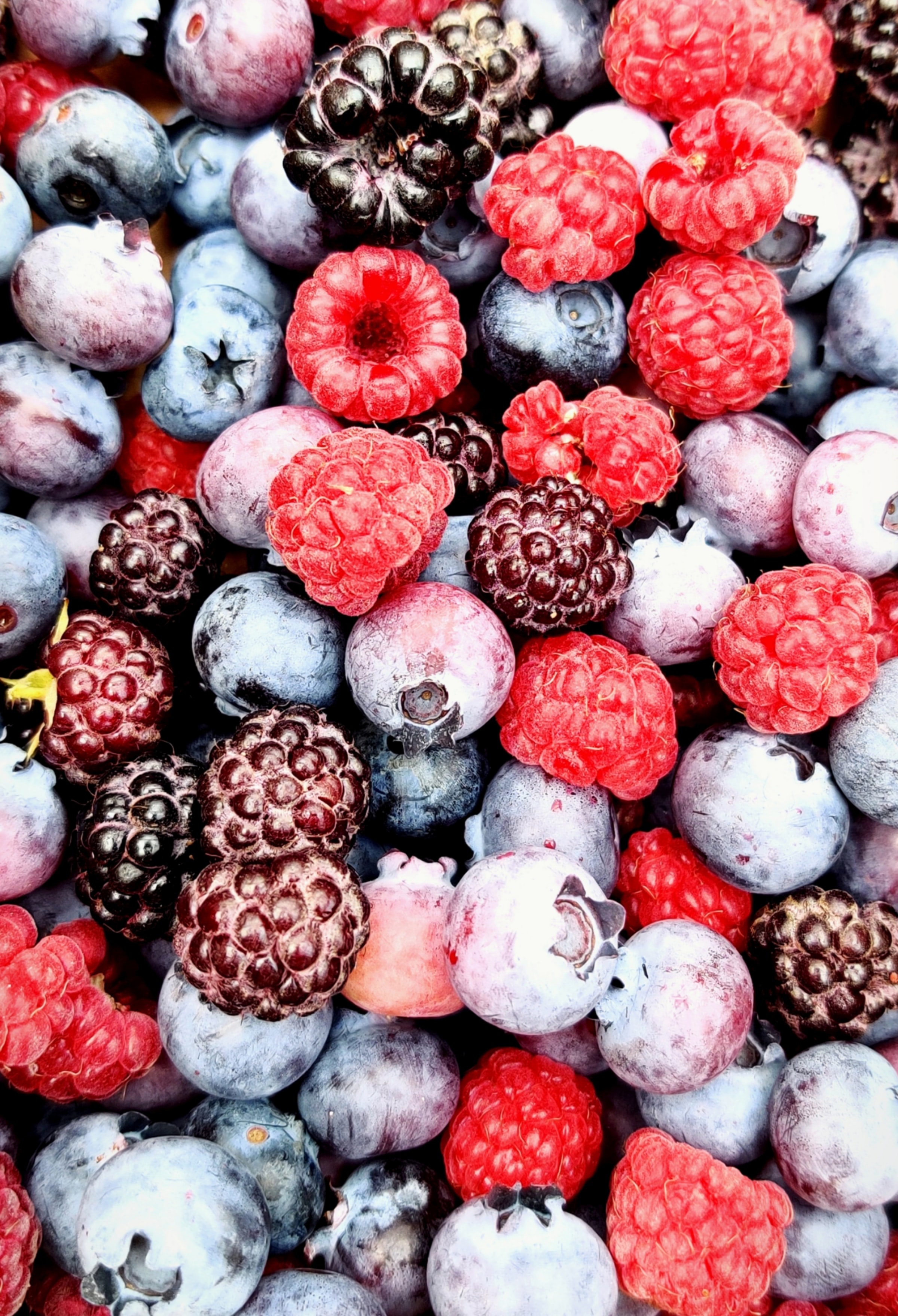 fruits, bilberries, food, raspberry, berries phone wallpaper