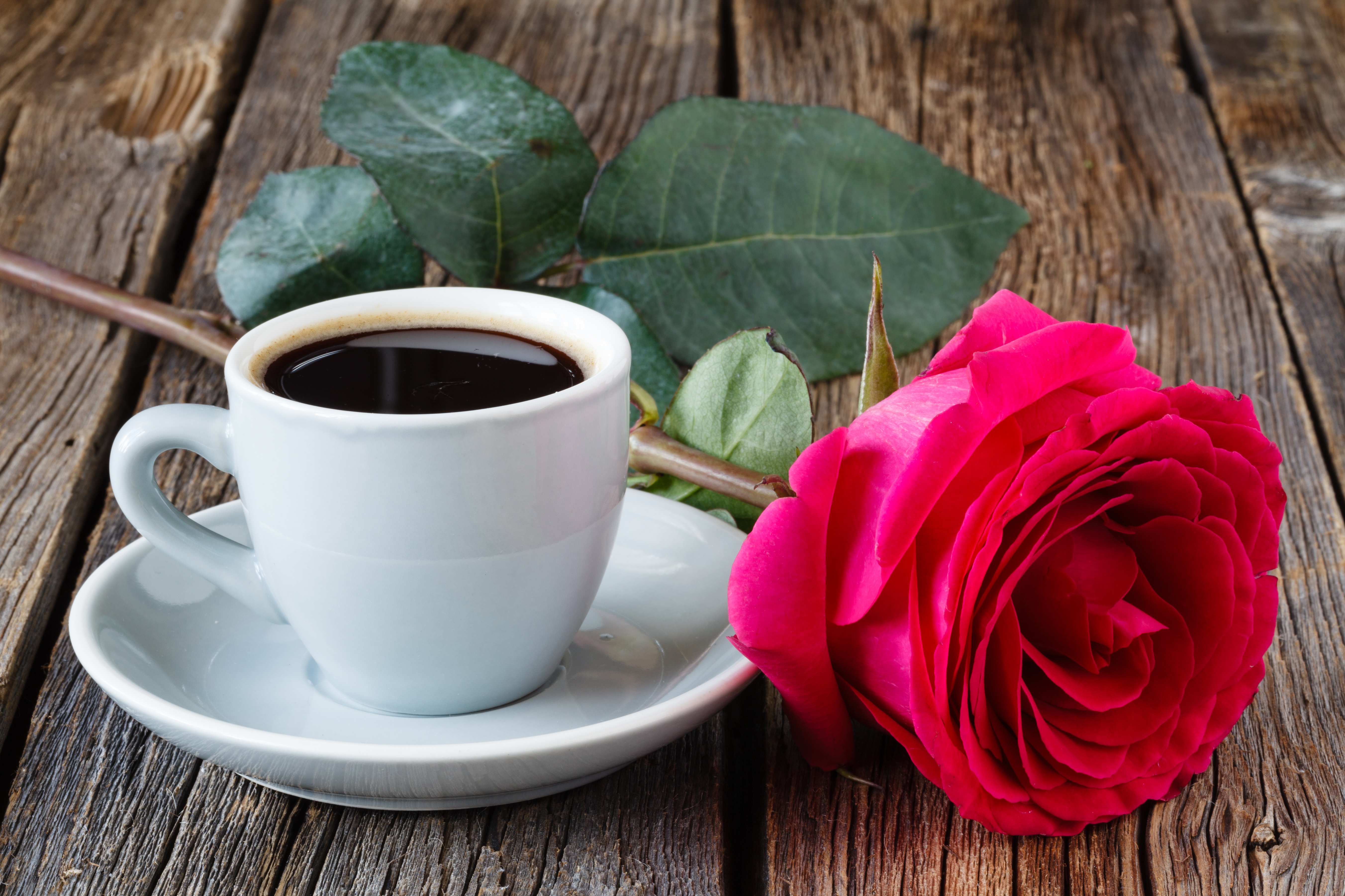 Красная Кружка кофе роза на столе