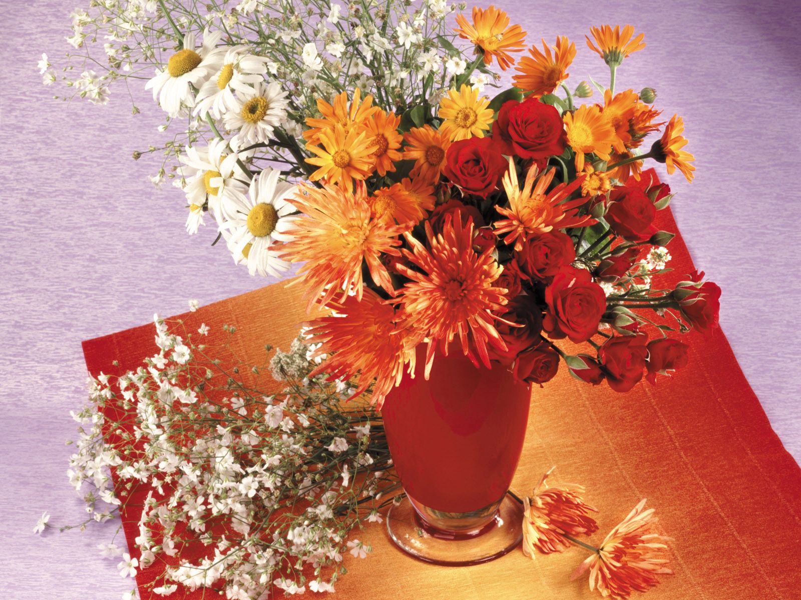 flowers, roses, chrysanthemum, vase, daisies 1080p