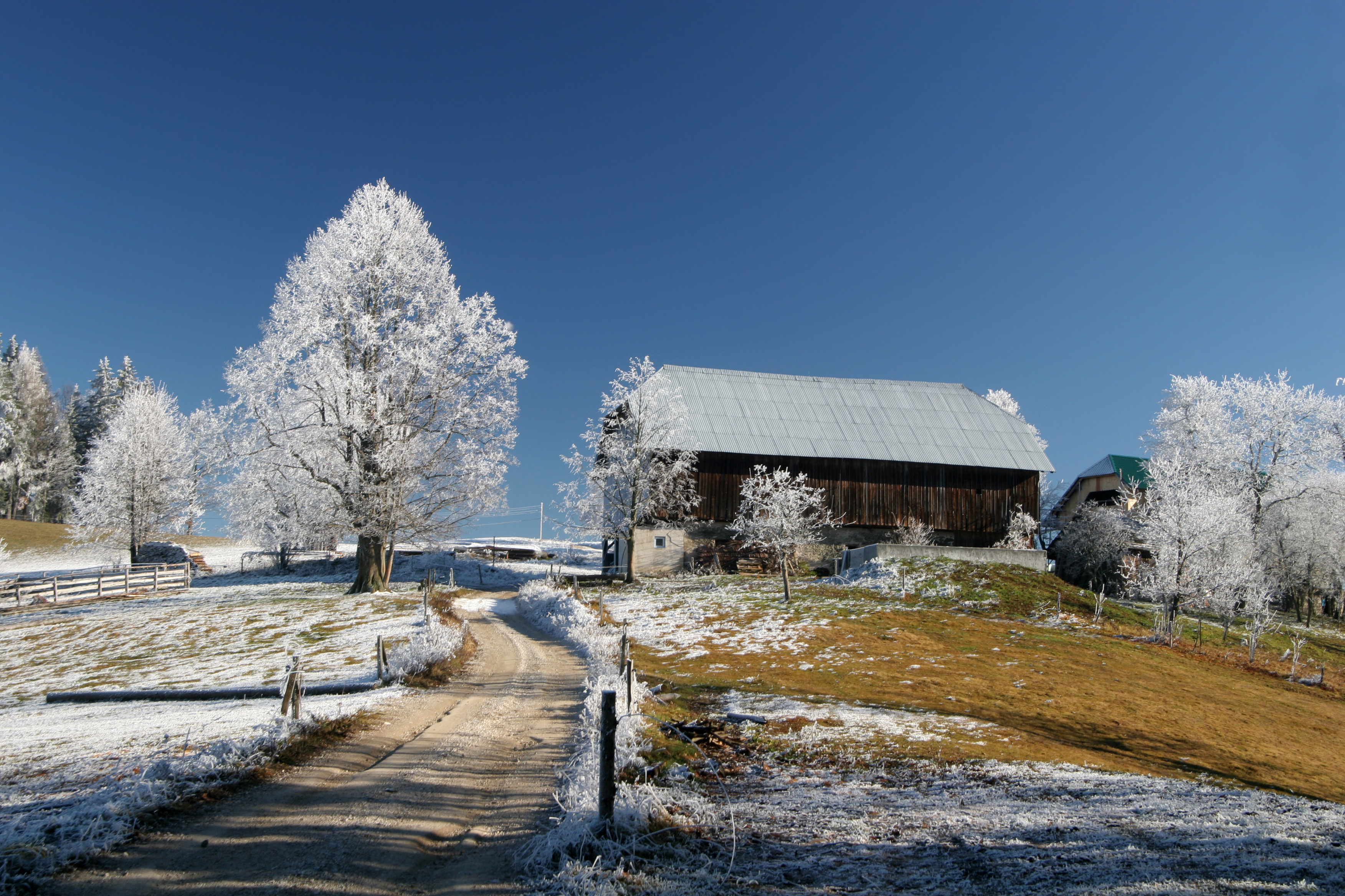 Зимний пейзаж в Грабовице, Сербия...