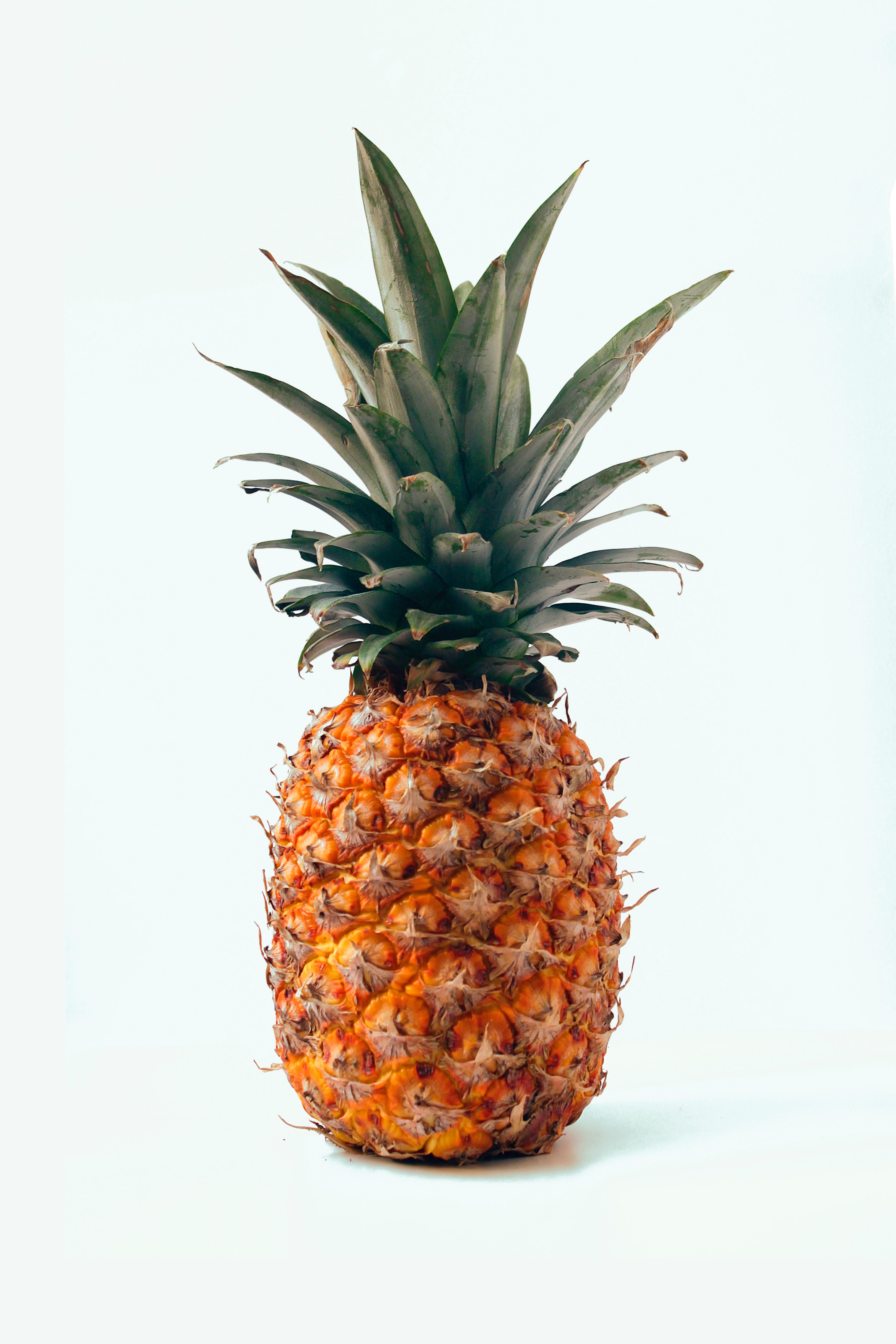 135822 Hintergrundbild herunterladen lebensmittel, ananas, minimalismus, die frucht, frucht, tropisch, tropischen, eine ananas - Bildschirmschoner und Bilder kostenlos