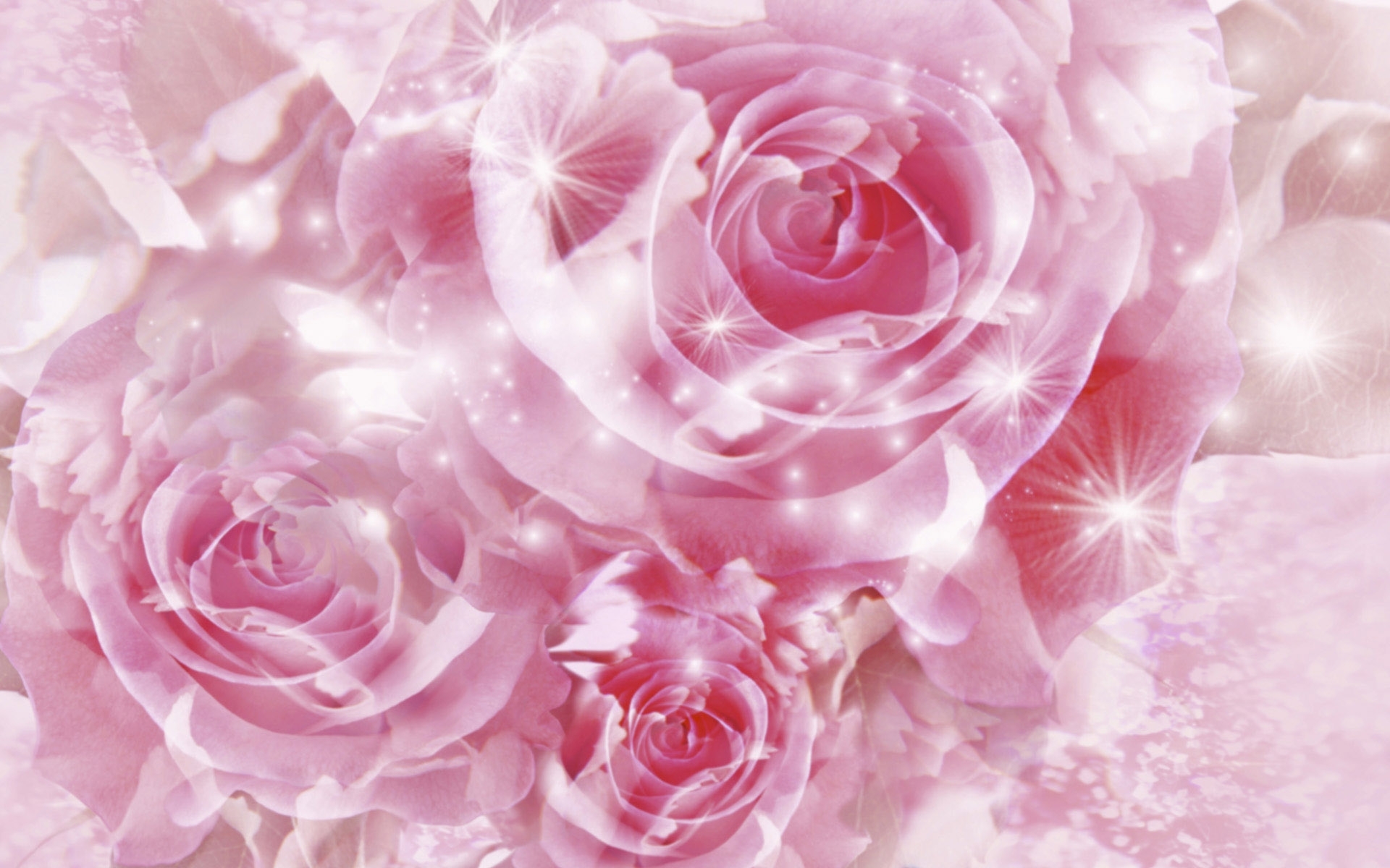 Handy-Wallpaper Blumen, Roses, Hintergrund kostenlos herunterladen.