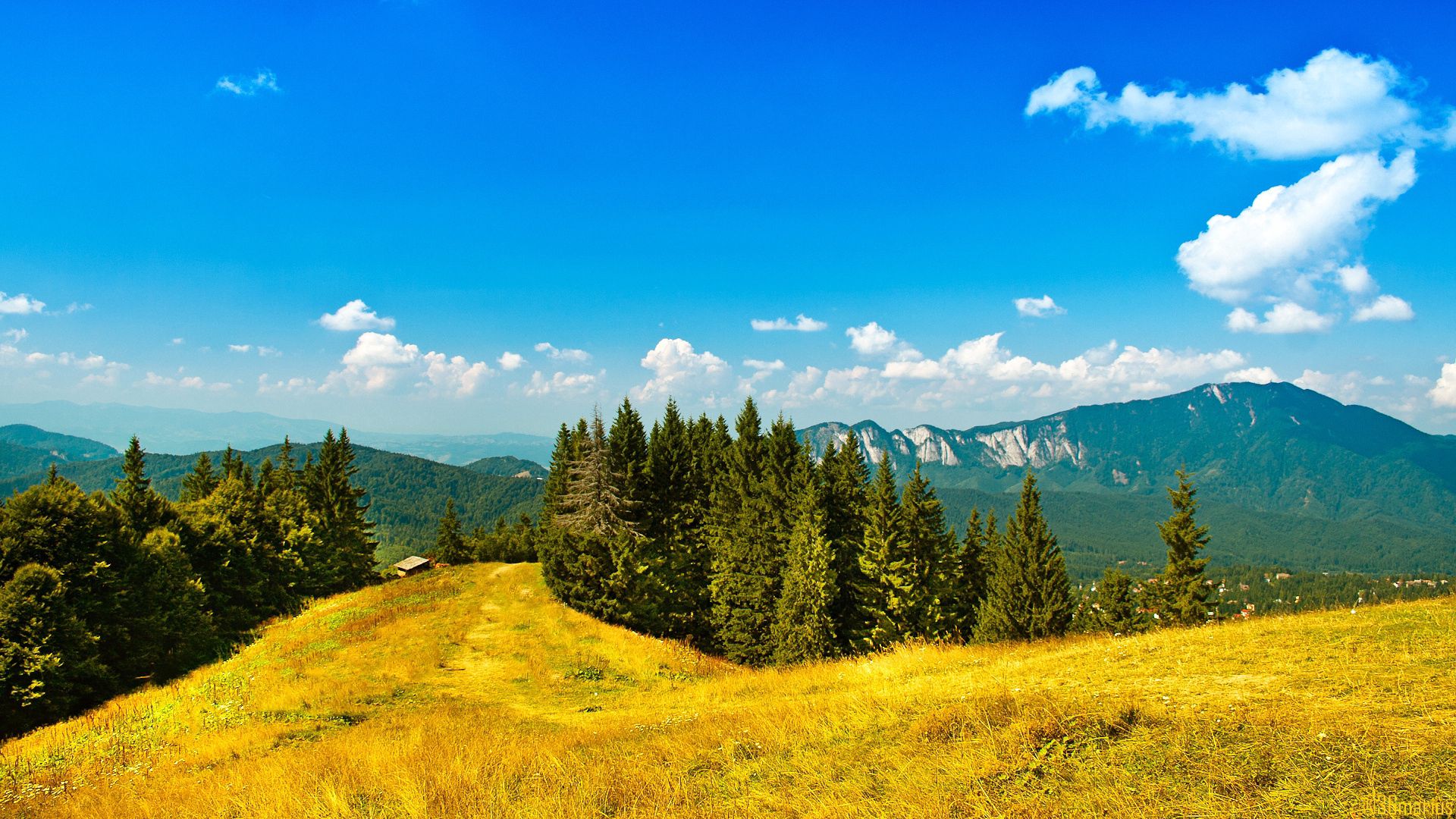 nature, trees, sky, mountains, yellow, blue, conifers, coniferous, freshness, sunny, clear, i see