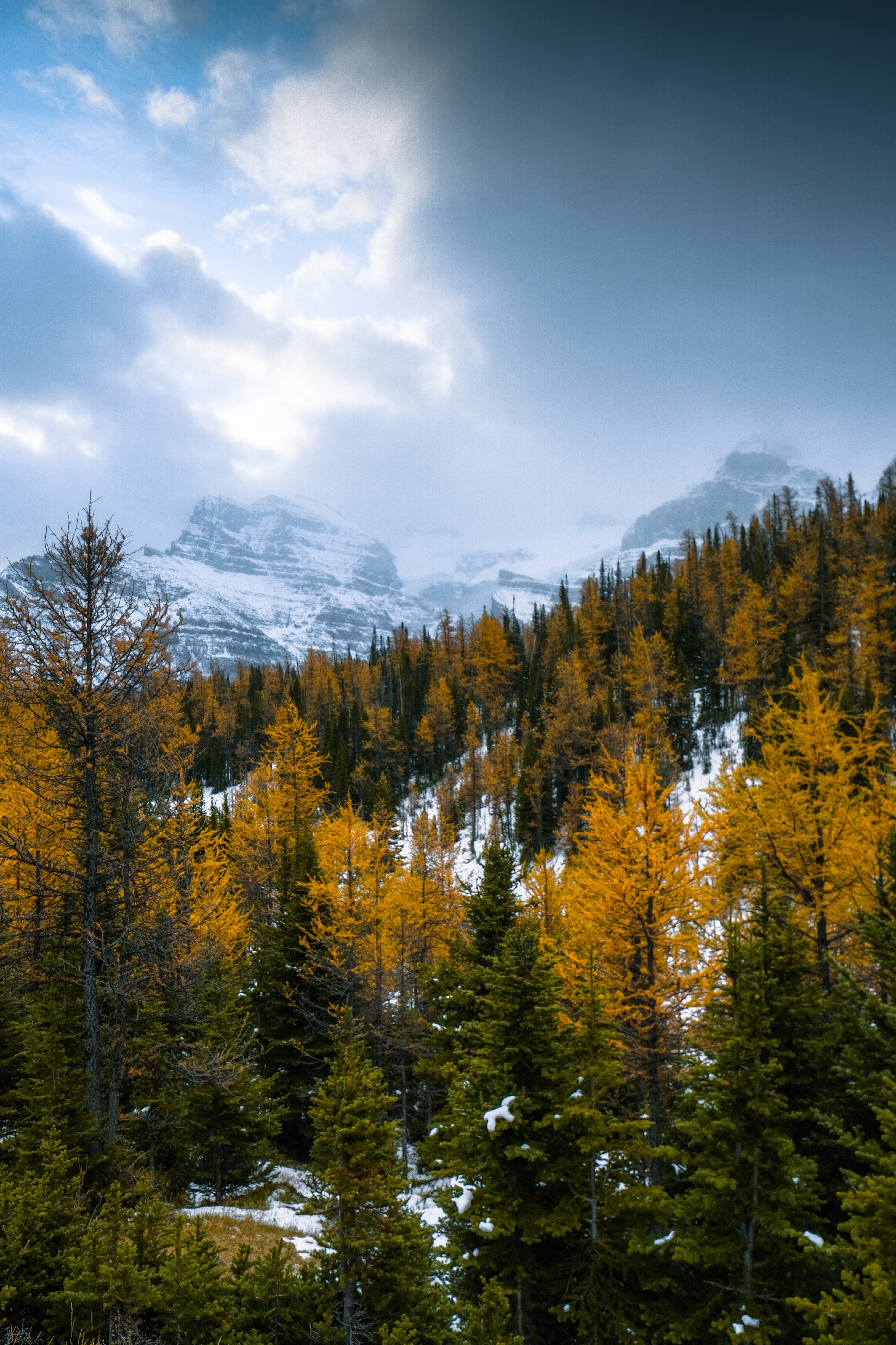 Laden Sie das Natur, Wald, Schneebedeckt, Snowbound, Mountains, Landschaft, Schnee-Bild kostenlos auf Ihren PC-Desktop herunter