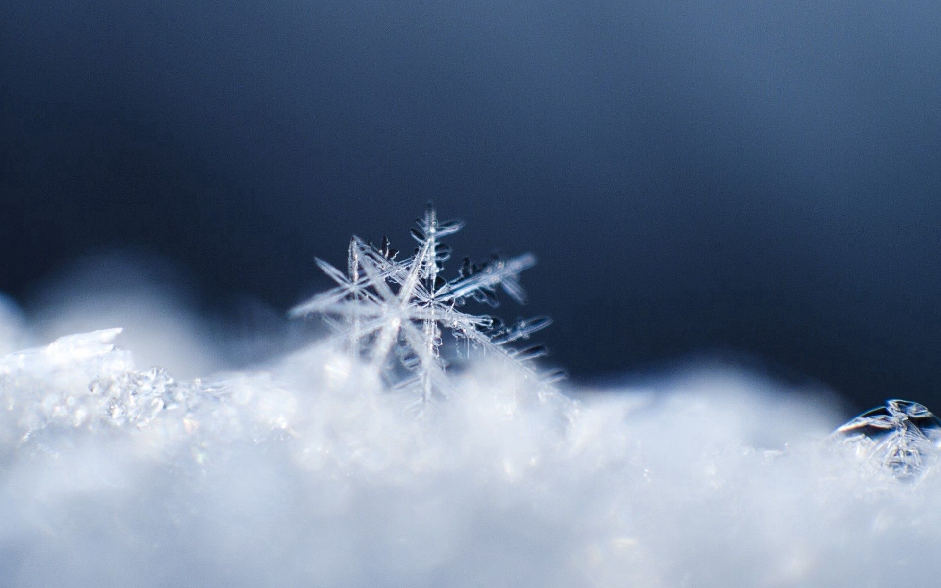 Download mobile wallpaper Snowflake, Snow, Macro, Surface for free.