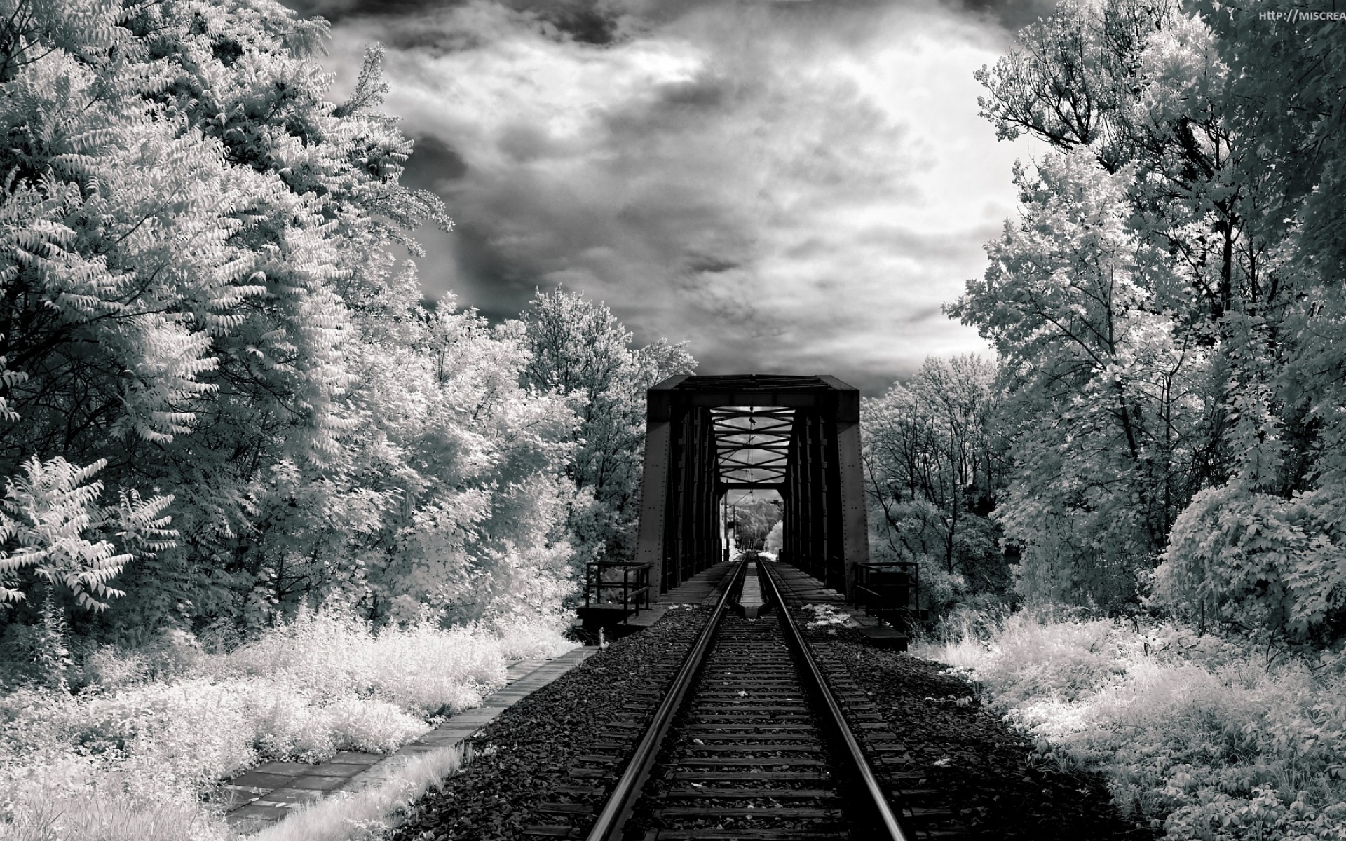 photography, black & white, bridge, cloud, forest, hdr, landscape, monochrome, railroad, sky