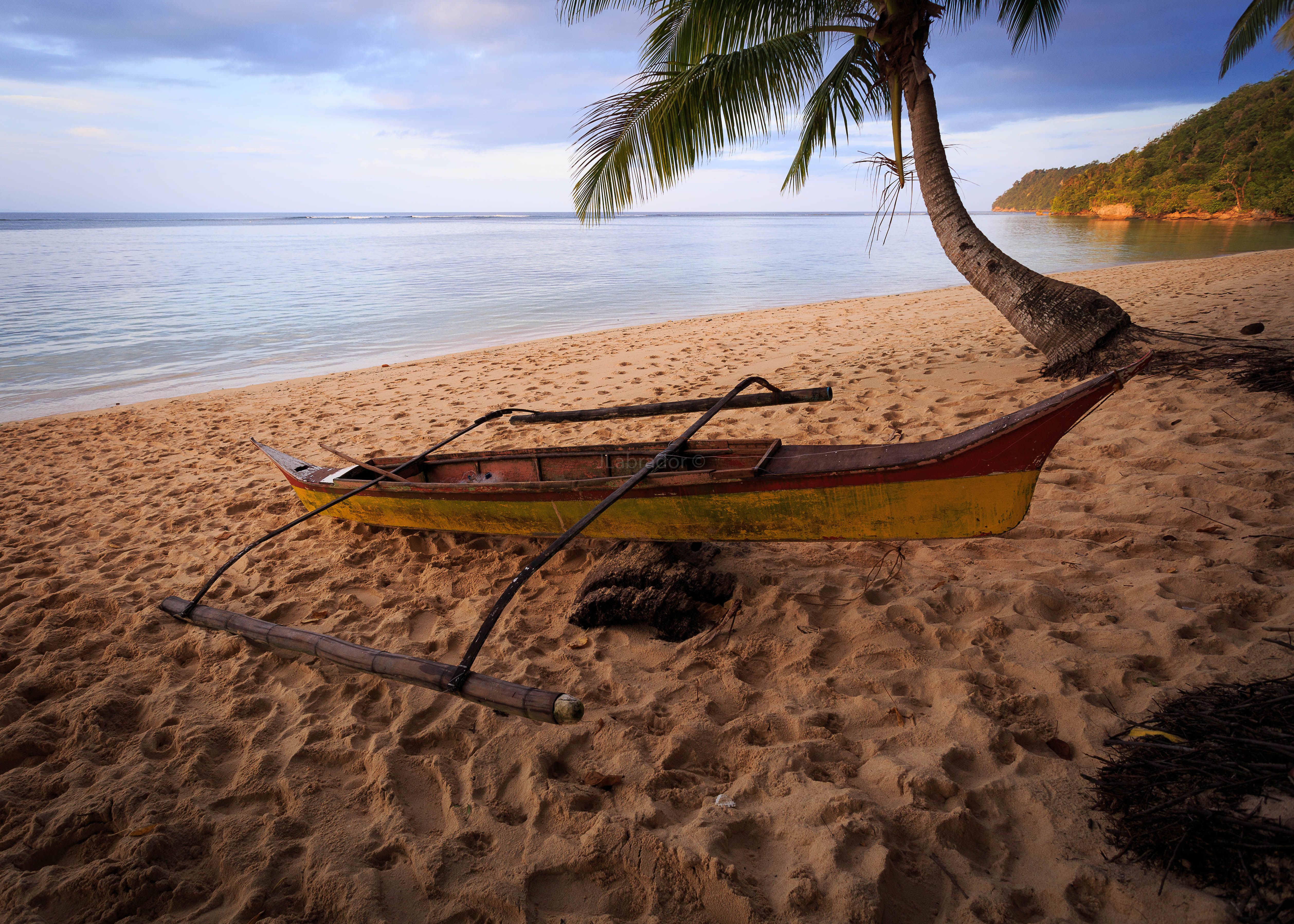 beach, vehicles, canoe, ocean, palm tree, philippines, sand, seascape, water iphone wallpaper