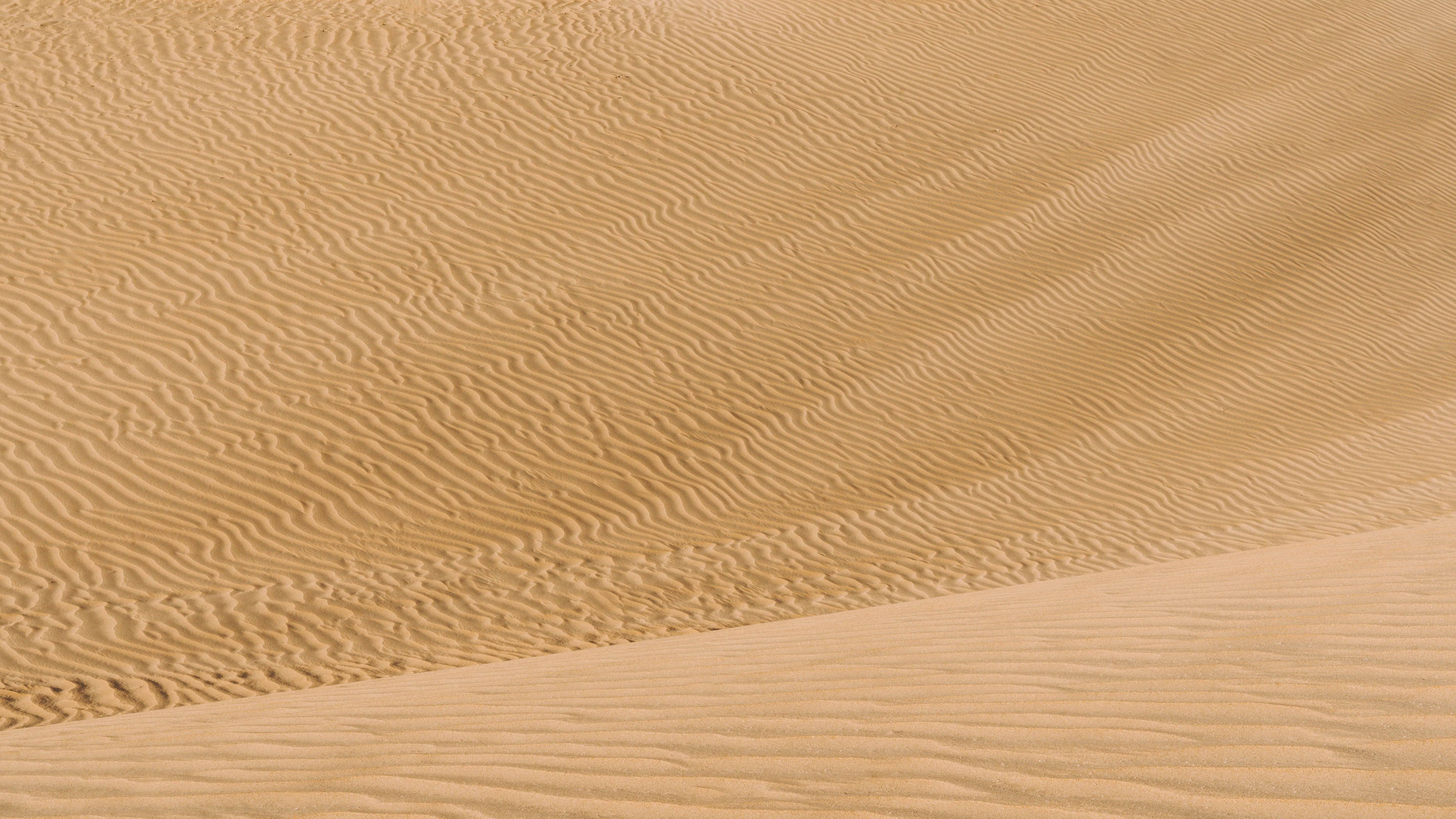 dunes, nature, sand, desert, wavy