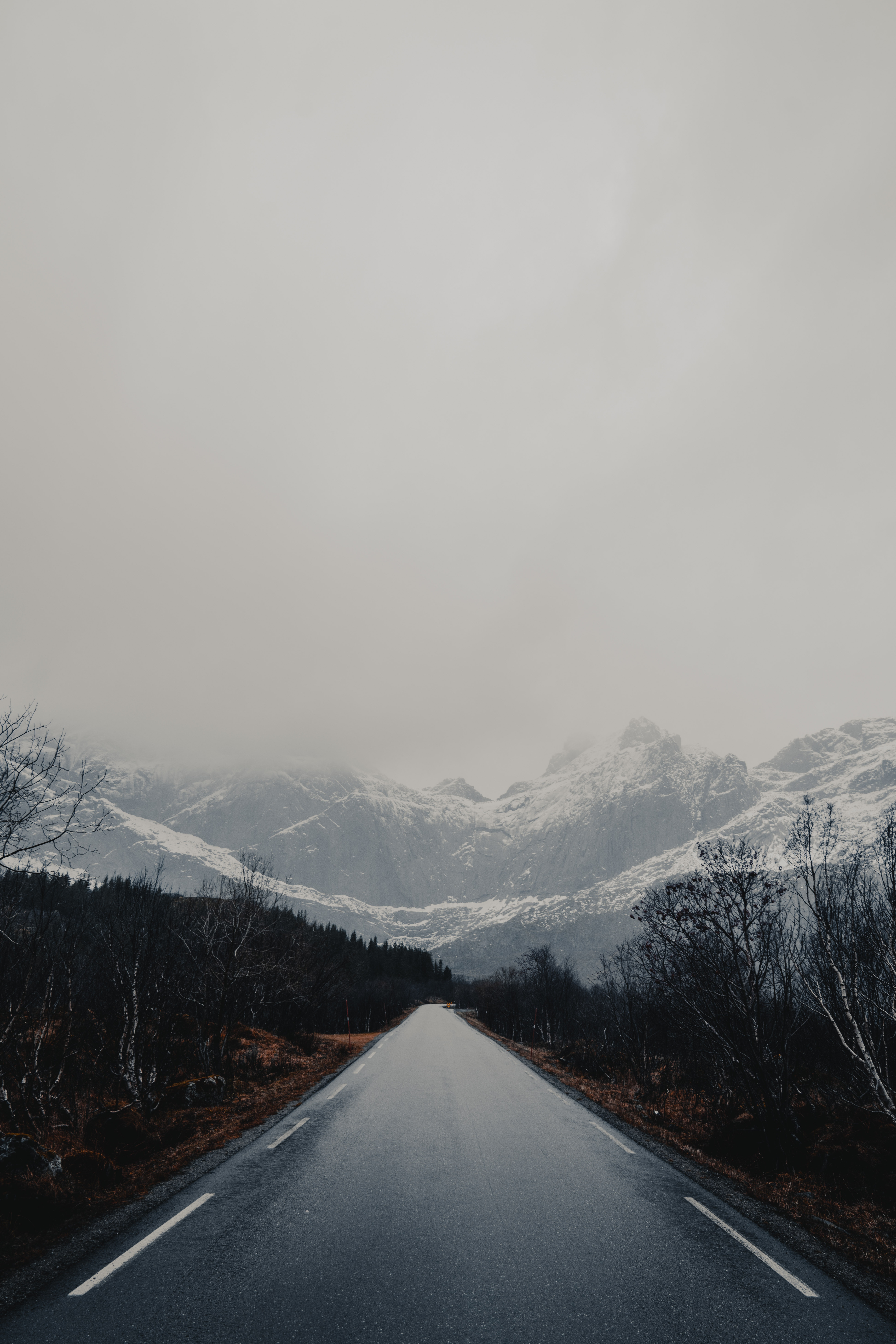 Download mobile wallpaper Trees, Road, Mountains, Nature, Wet, Asphalt for free.