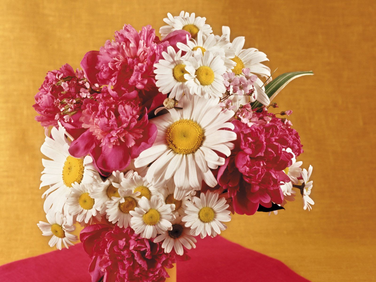 Handy-Wallpaper Blumen, Vase, Bouquet, Strauß, Kamille, Pfingstrosen kostenlos herunterladen.