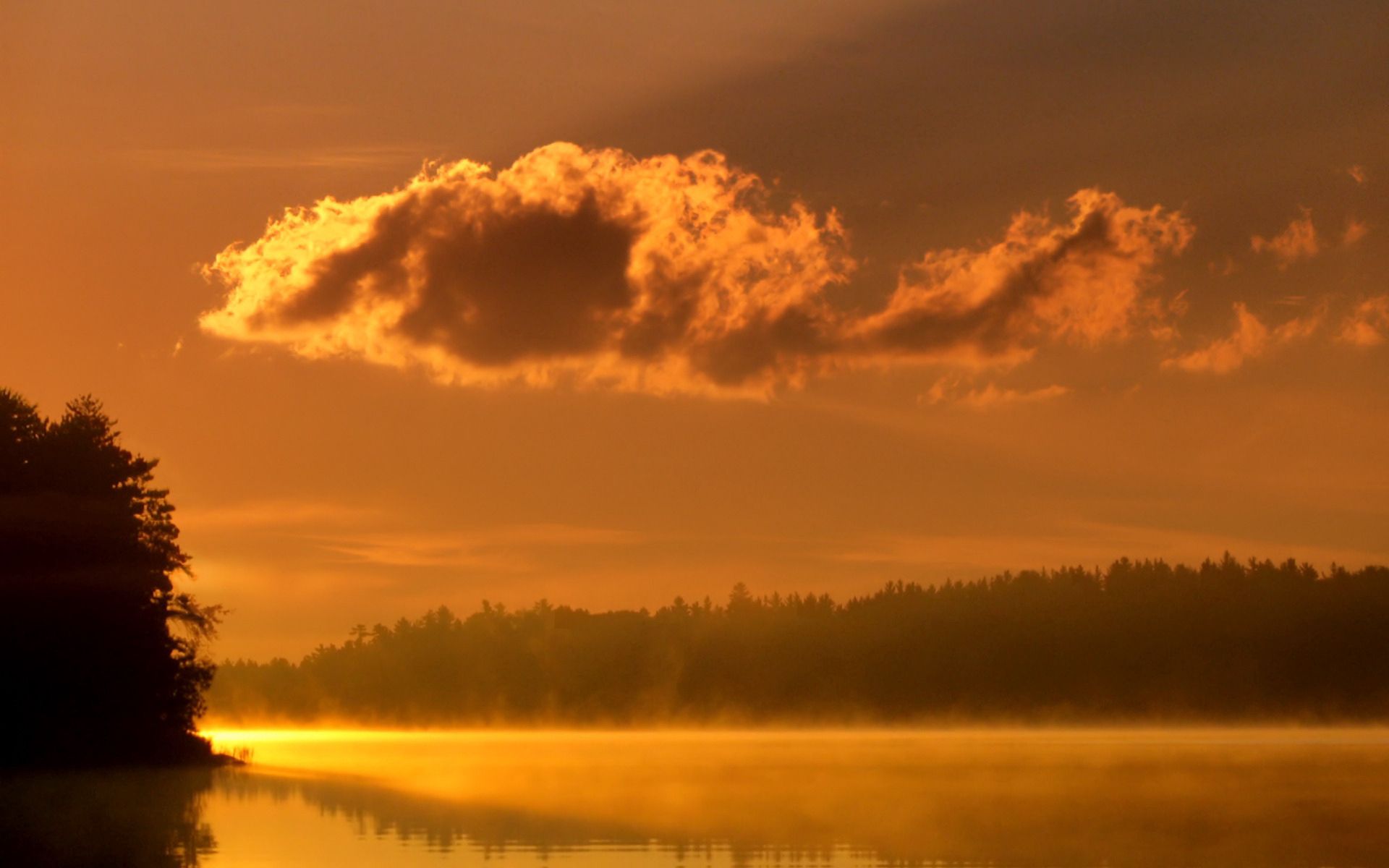 Laden Sie das Bäume, Nebel, Morgen, Natur, Clouds, Morgendämmerung, See-Bild kostenlos auf Ihren PC-Desktop herunter