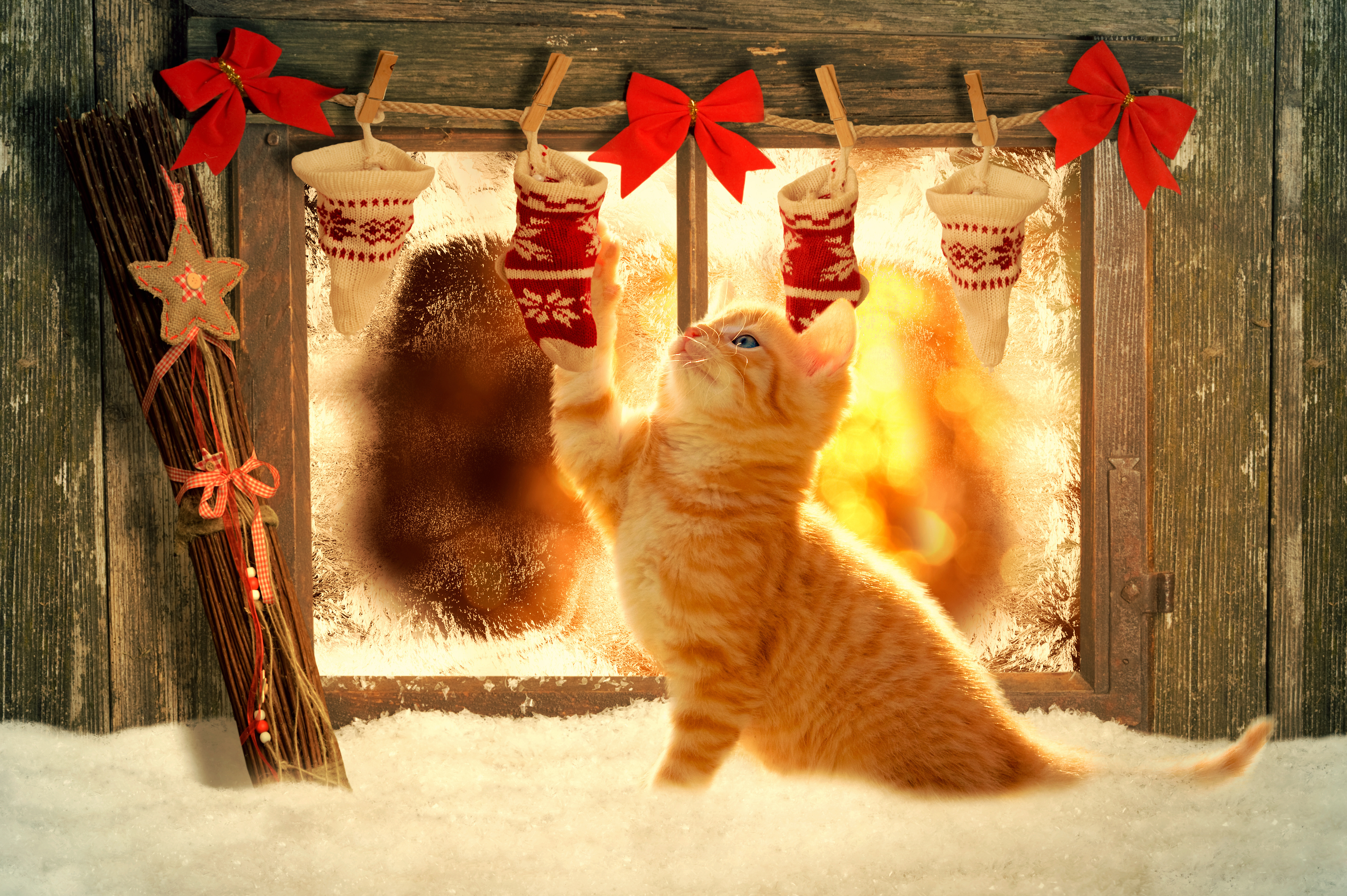 wood, christmas, orange (color), holiday, cat, christmas ornaments, decoration, window 2160p