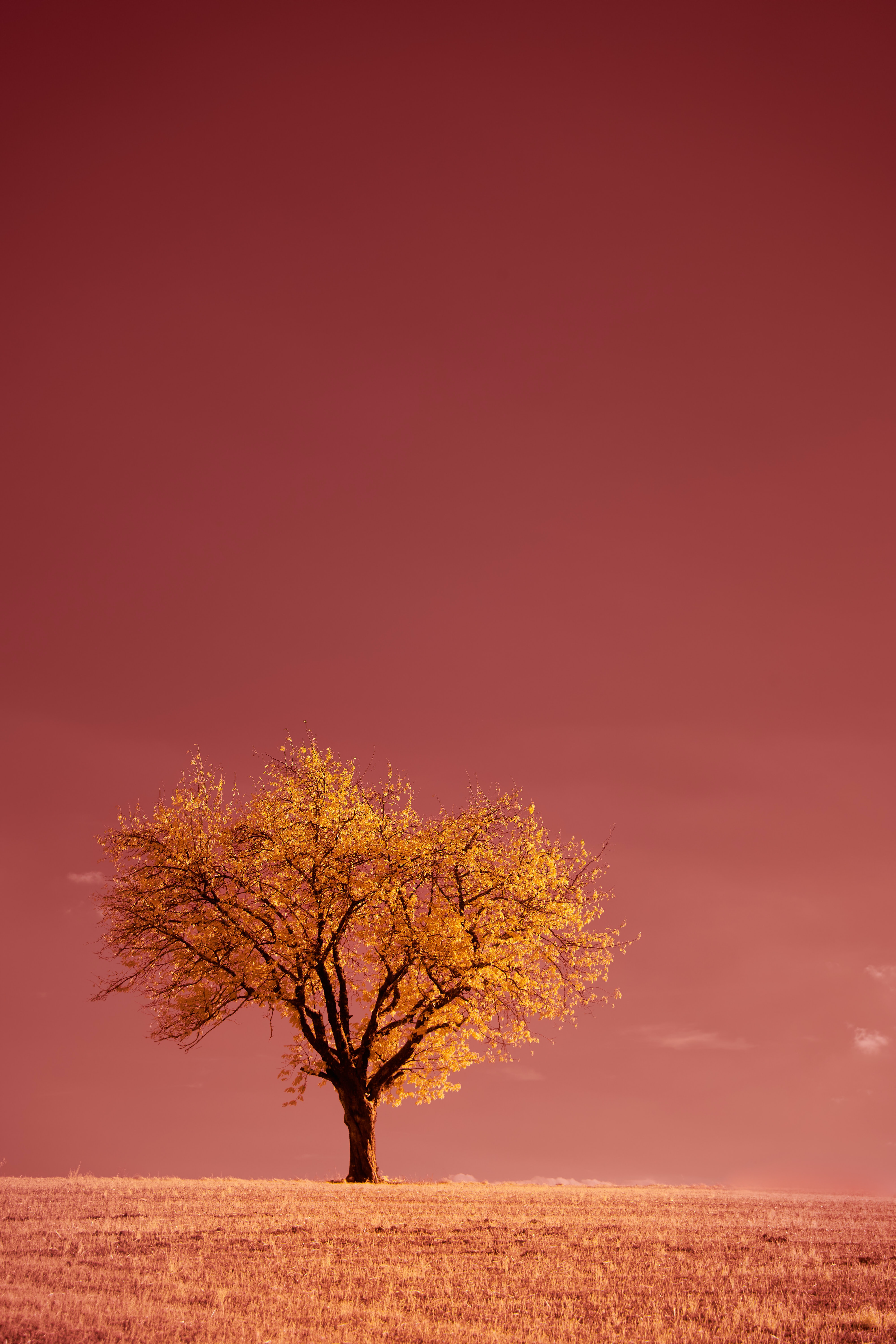 151497 free wallpaper 1080x2340 for phone, download images  1080x2340 for mobile