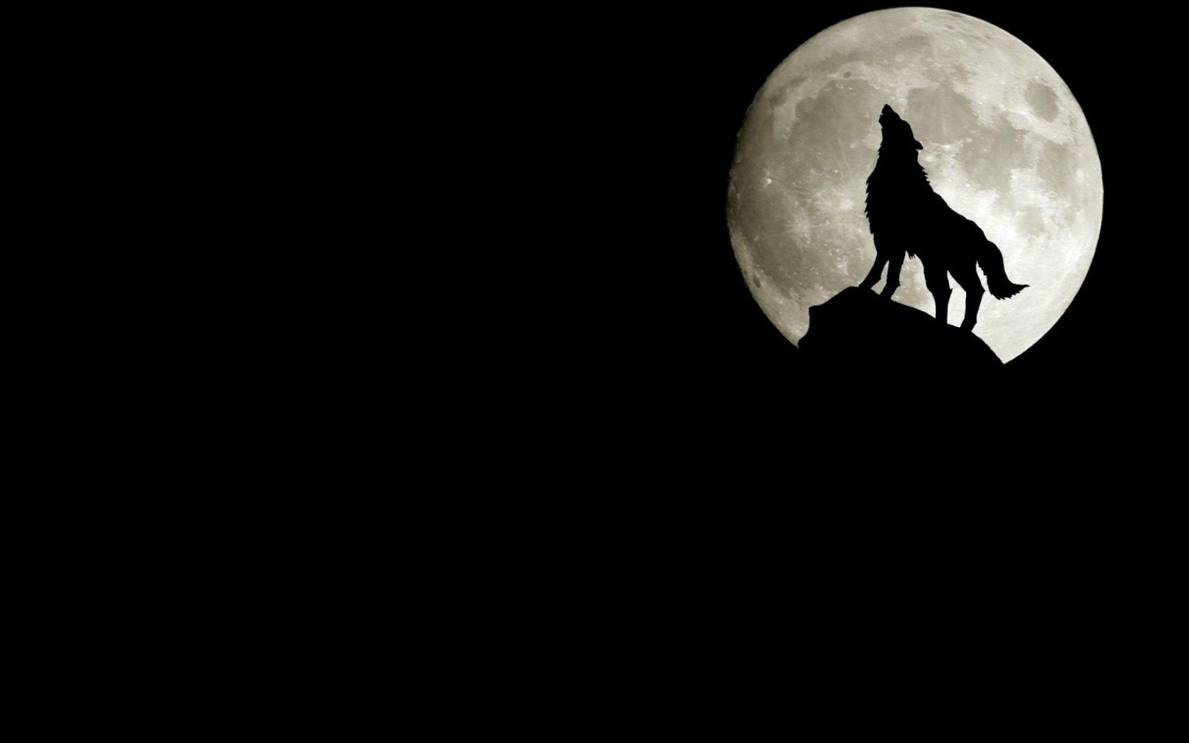 Laden Sie das Tiere, Mond, Wölfe-Bild kostenlos auf Ihren PC-Desktop herunter