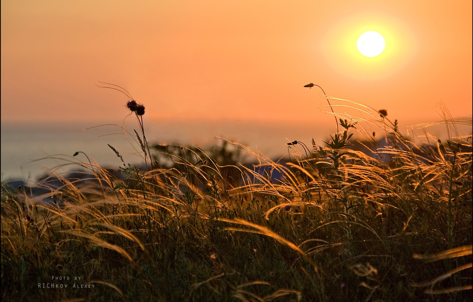 Laden Sie das Landschaft, Sunset, Grass, Sky-Bild kostenlos auf Ihren PC-Desktop herunter