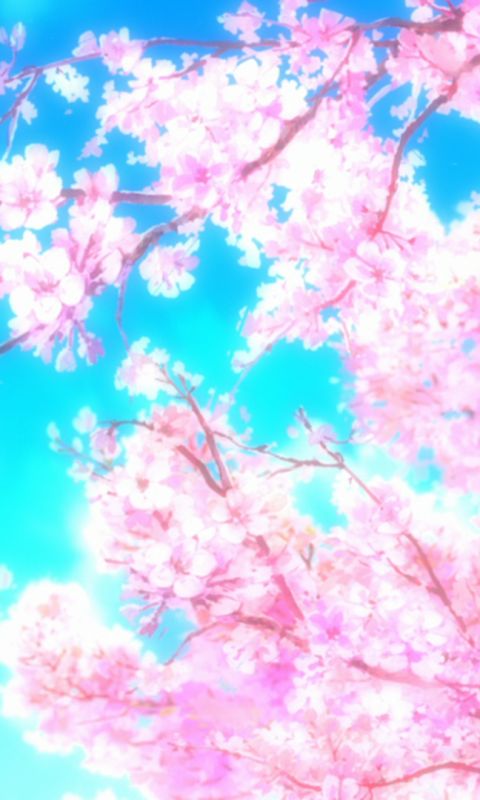 Anime Sakura Flower Wallpapers  Top Free Anime Sakura Flower Backgrounds   WallpaperAccess