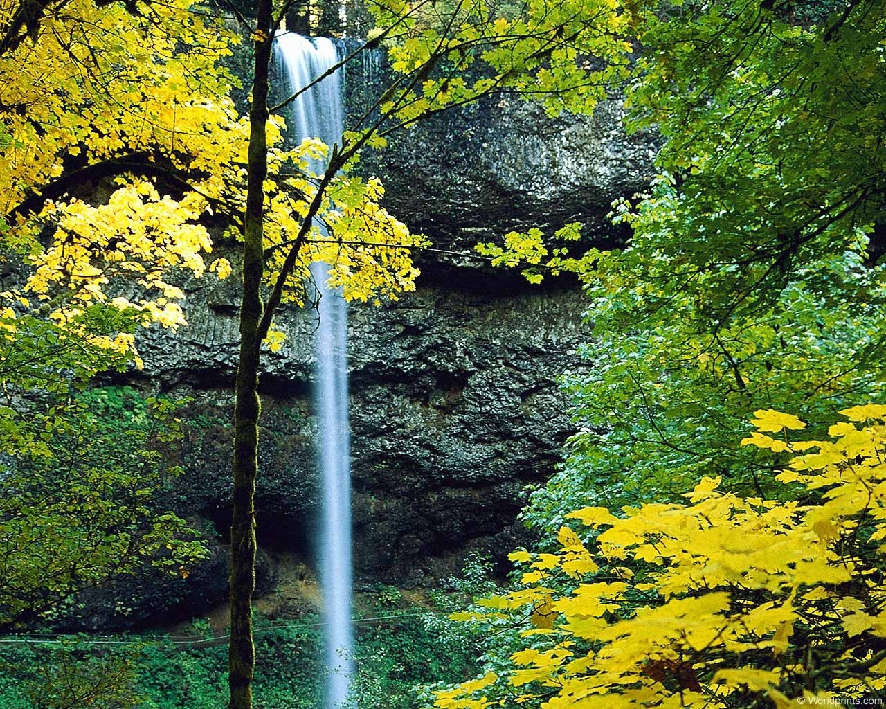 Handy-Wallpaper Bäume, Landschaft, Wasserfälle, Herbst kostenlos herunterladen.