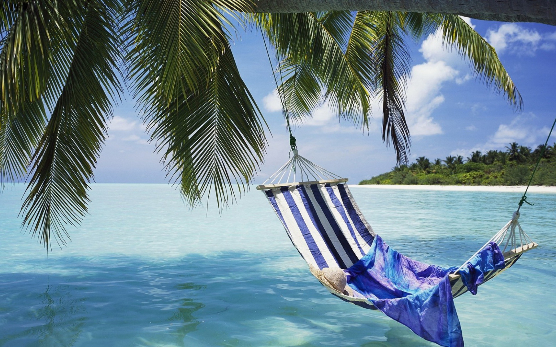 man made, hammock, beach, horizon, ocean, palm tree, tropical, turquoise QHD