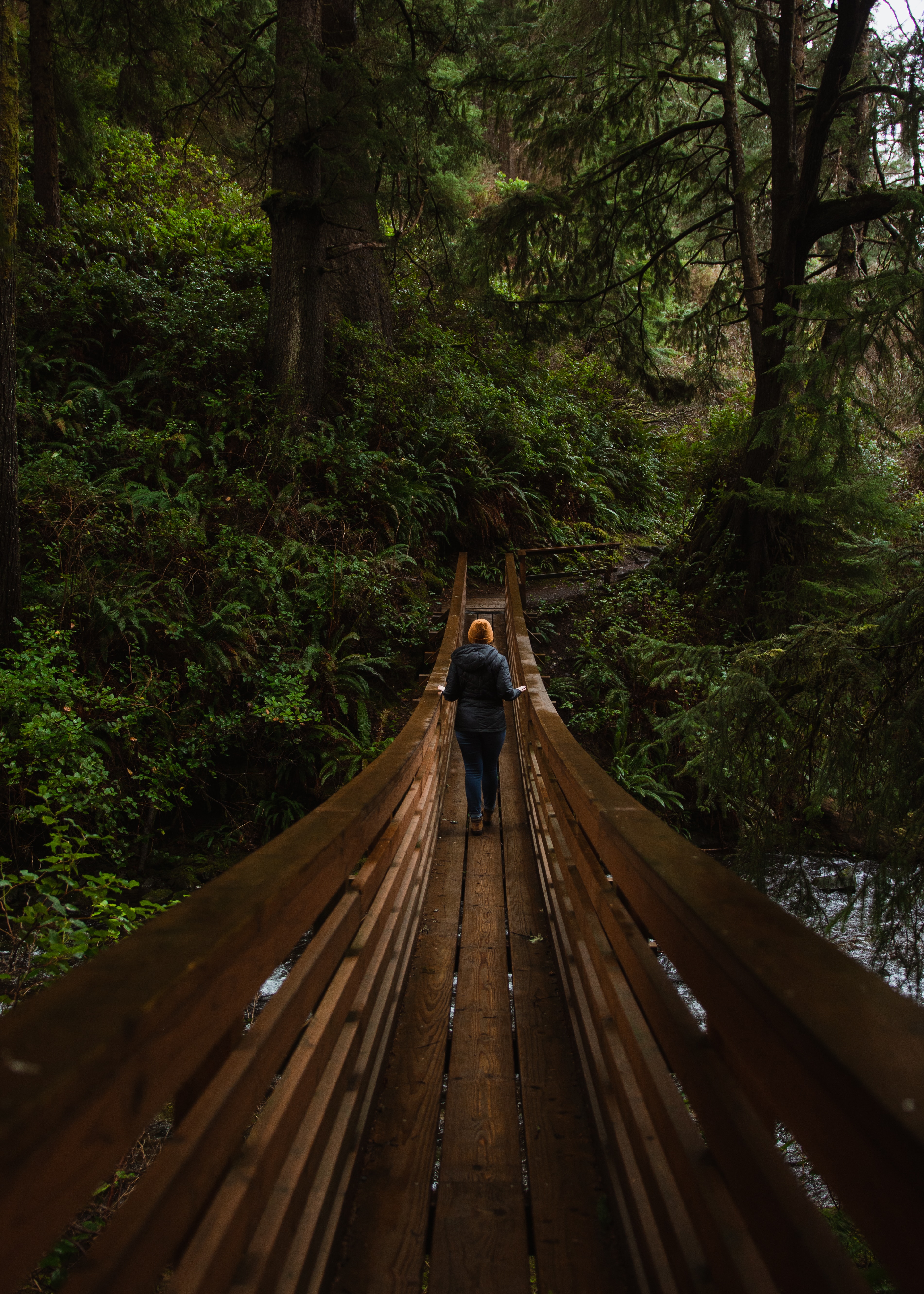 Download mobile wallpaper Bridge, Forest, Nature, Person, Human for free.