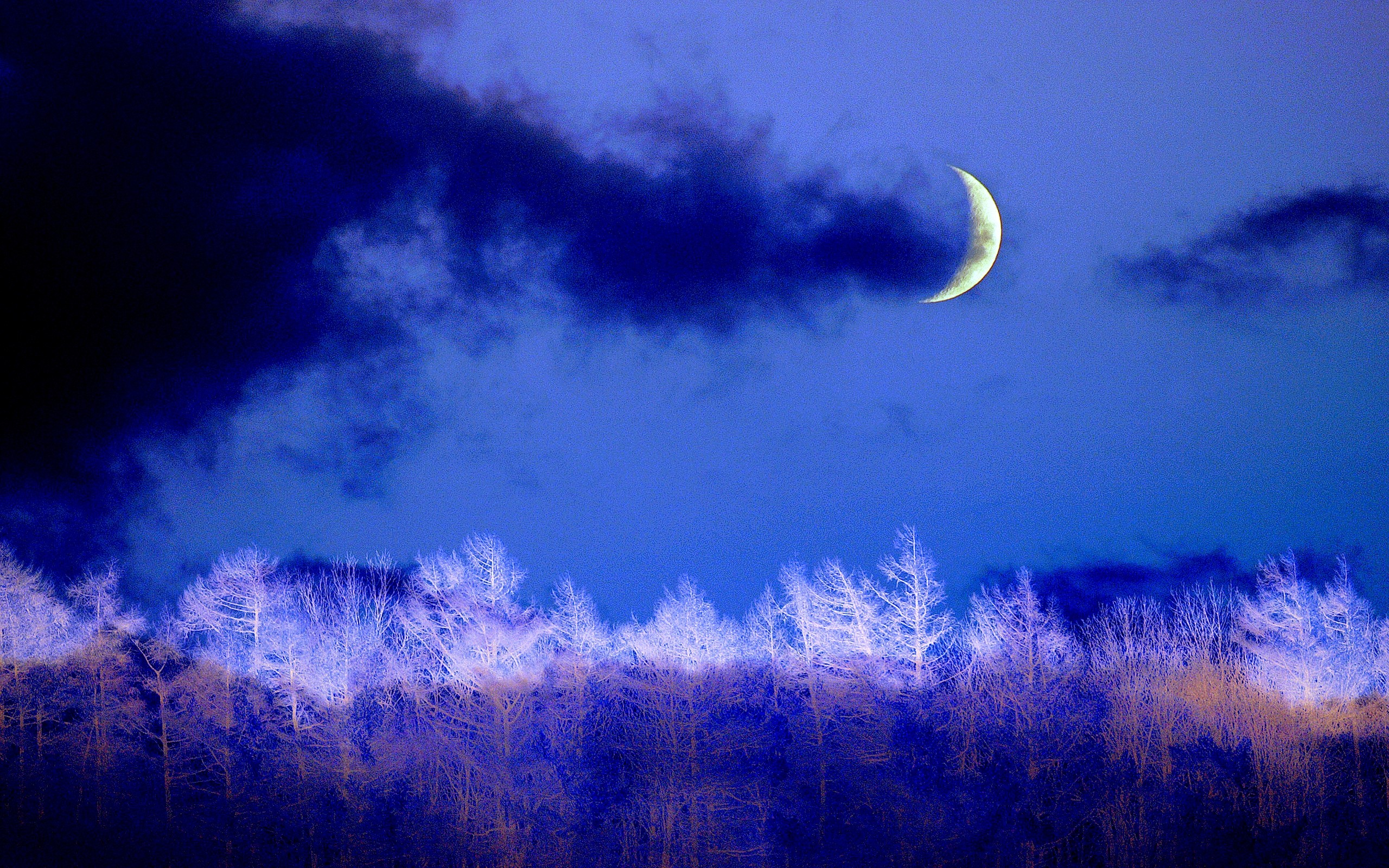 789697 descargar imagen invierno, tierra/naturaleza, noche, azul, nube, creciente, luna, árbol: fondos de pantalla y protectores de pantalla gratis