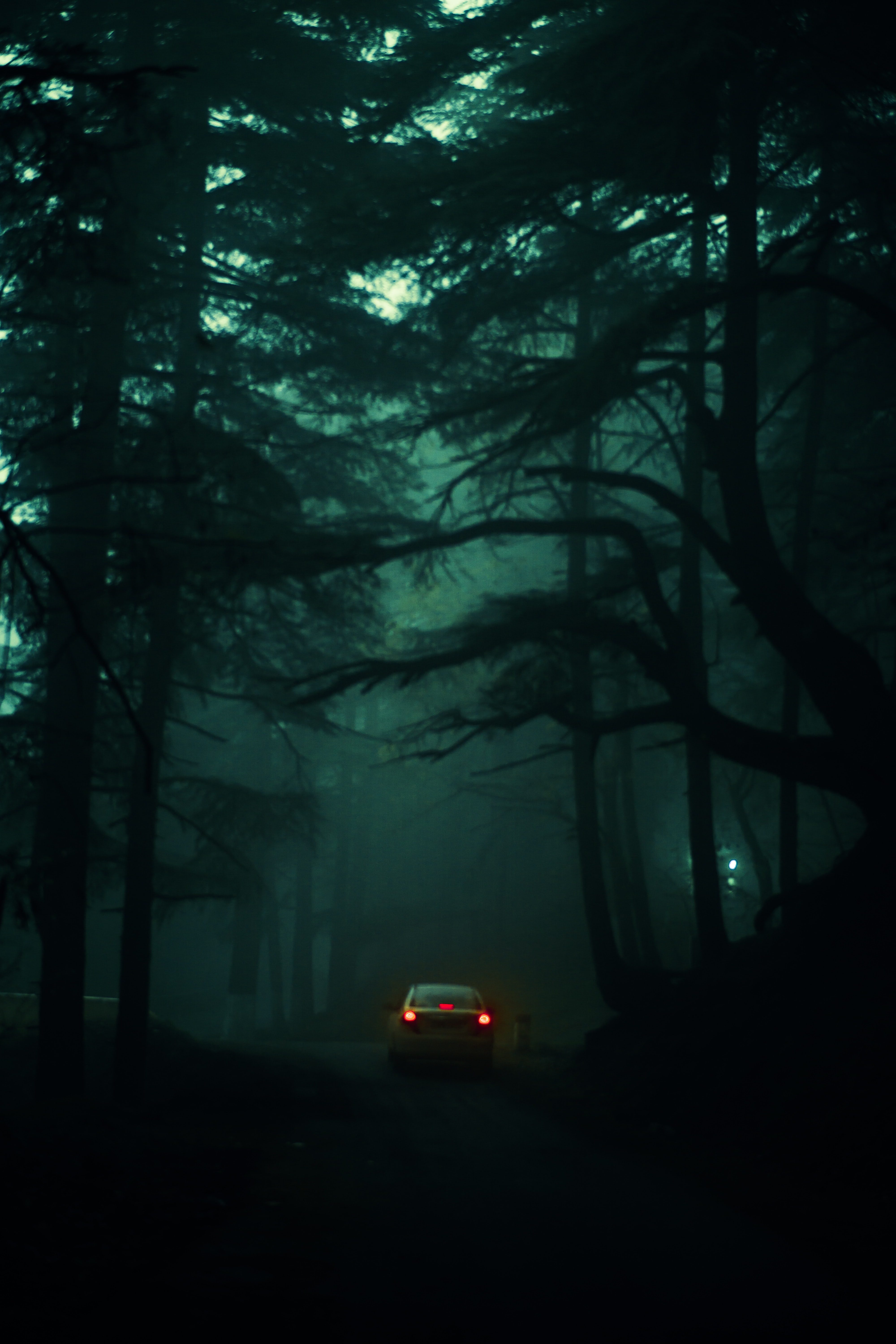 Download mobile wallpaper Darkness, Fog, Trees, Smooth, Car, Blur, Dark for free.