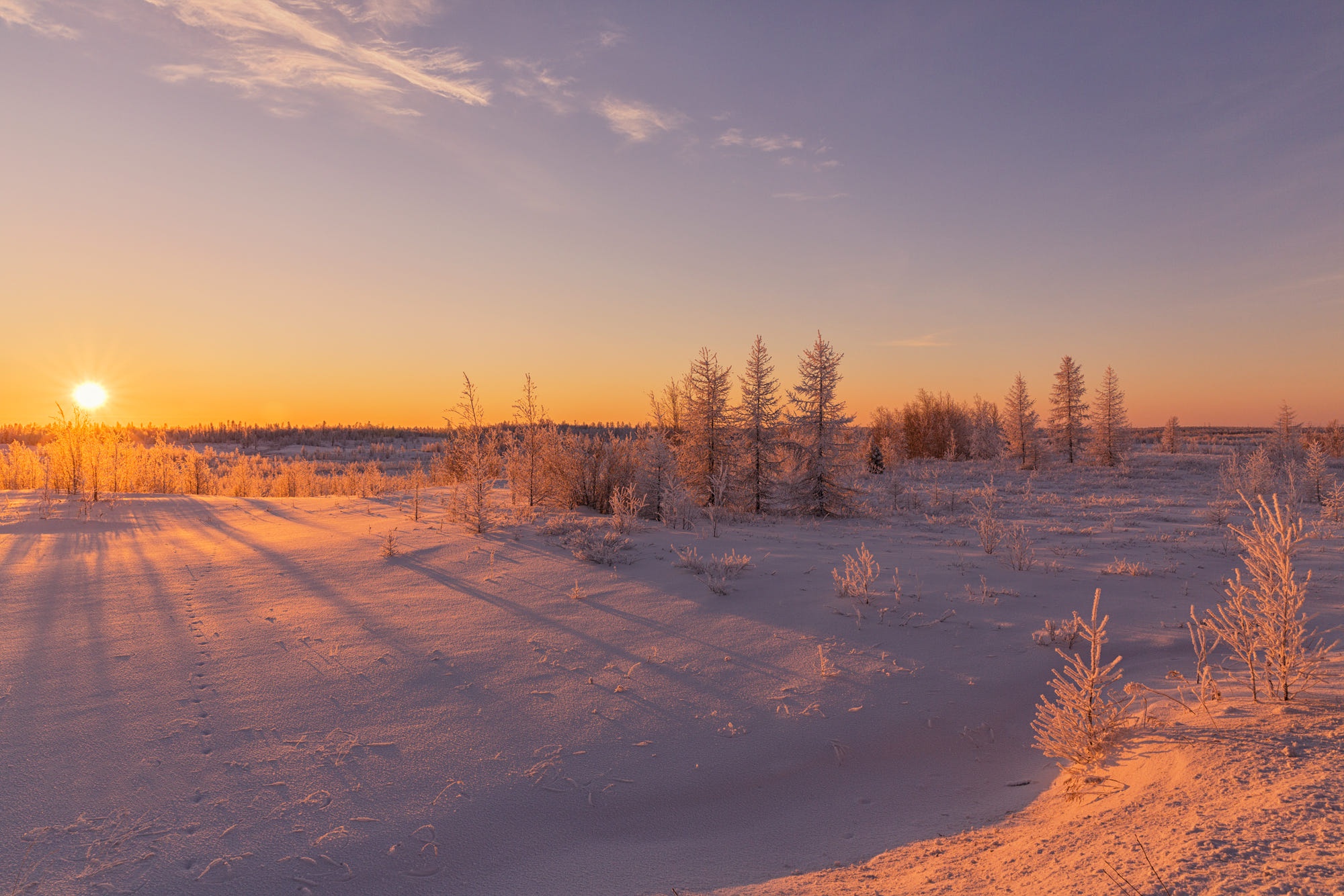 Зимний пейзаж Салехард