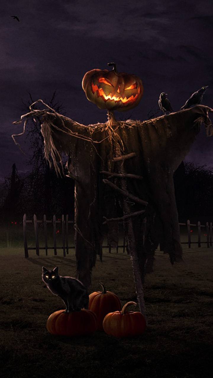 Download mobile wallpaper Halloween, Holiday, Scarecrow, Jack O' Lantern for free.