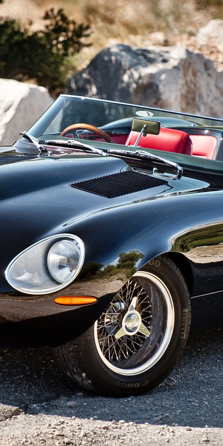 Jaguar e Type Speedster