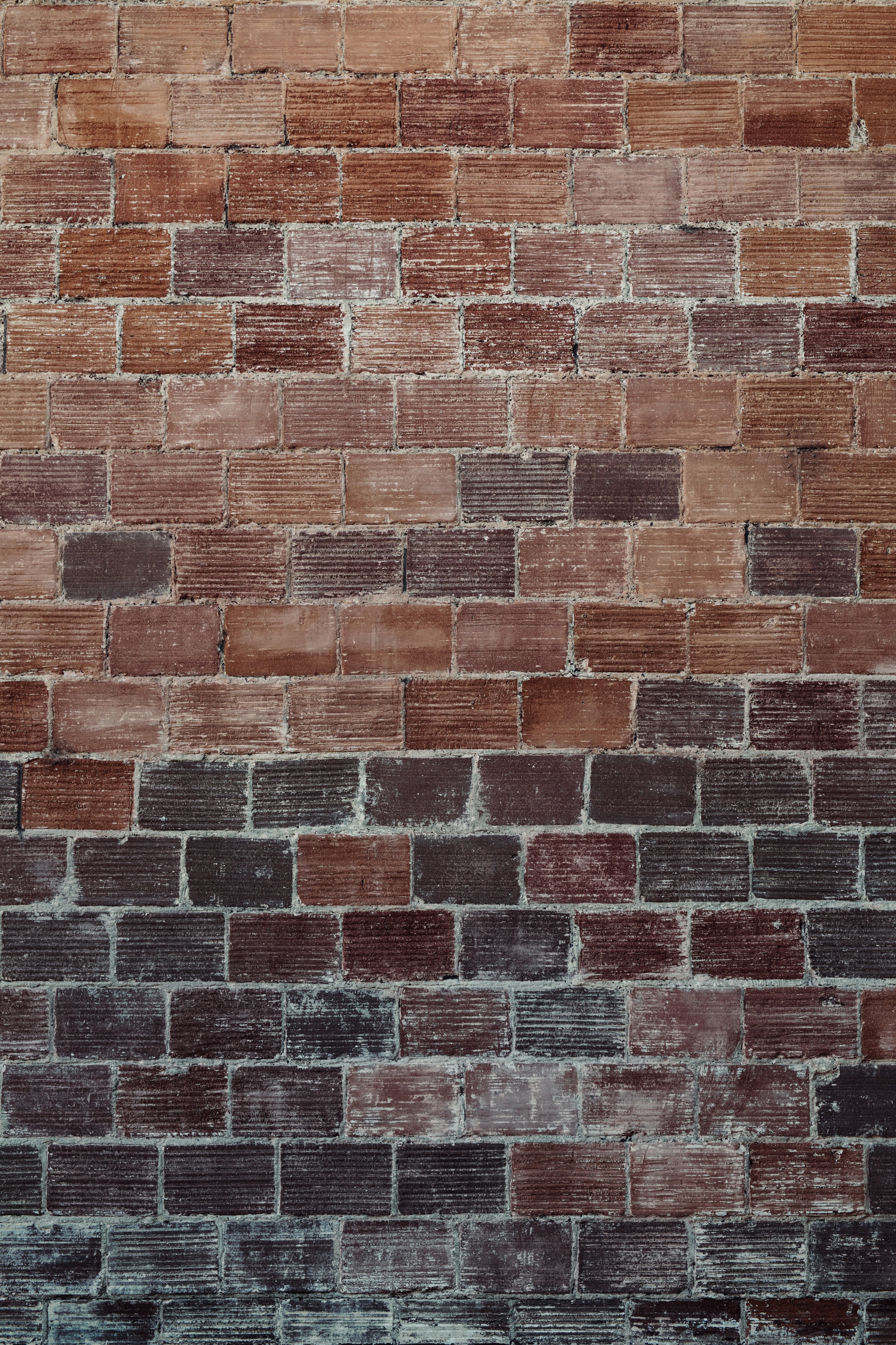 texture, brick wall, bricks, red, textures, wall, cement